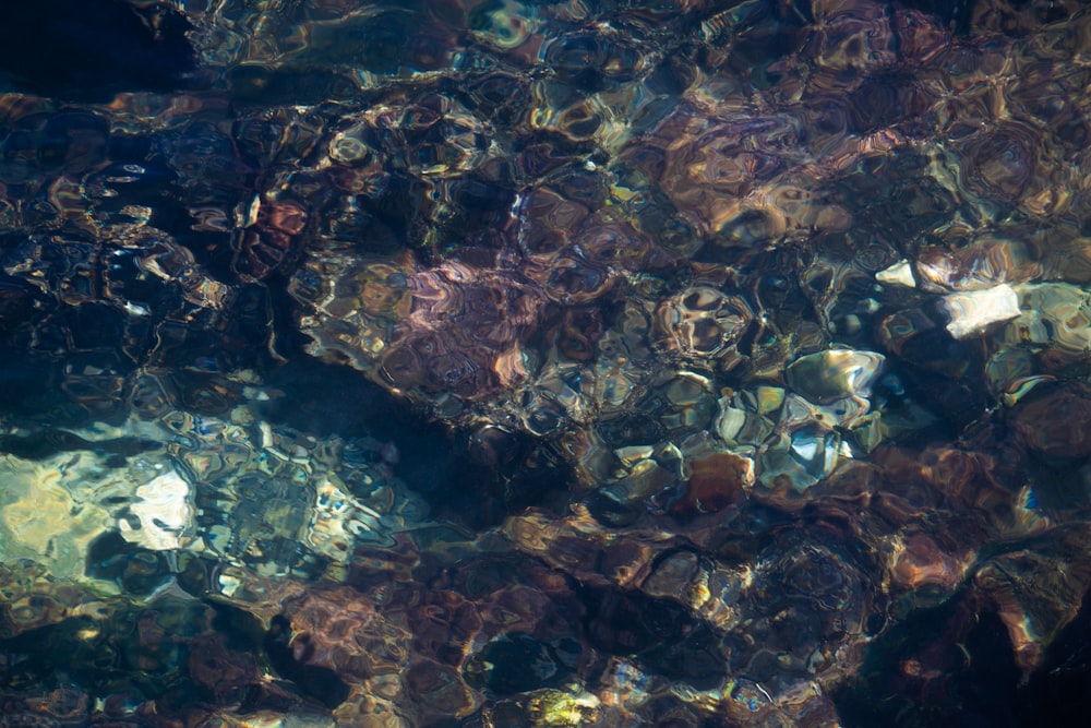 a close up of rocks under water