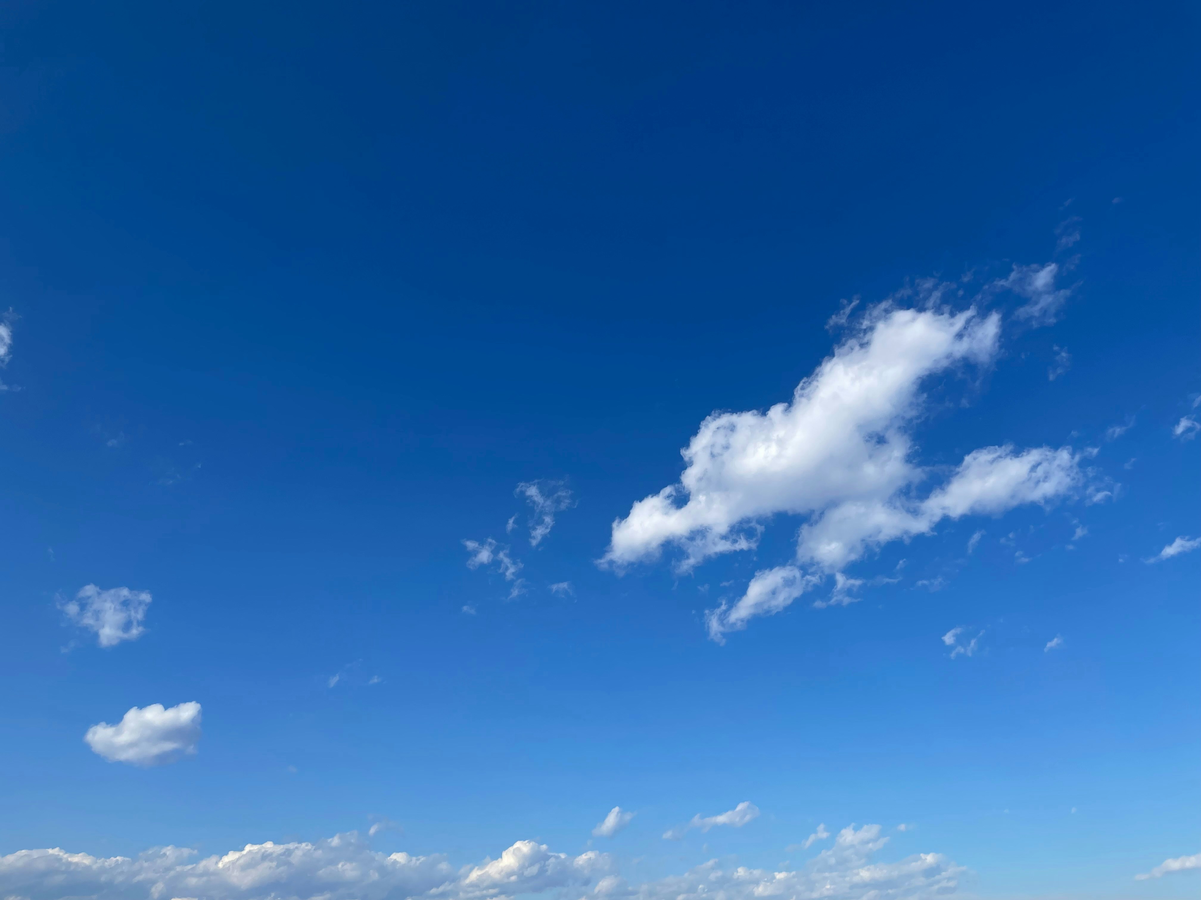 Photo by blueskywalker