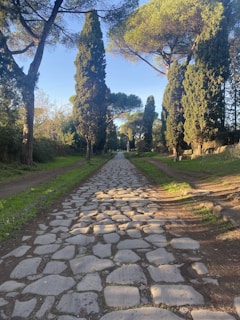 a cobblestone road in the middle of a park