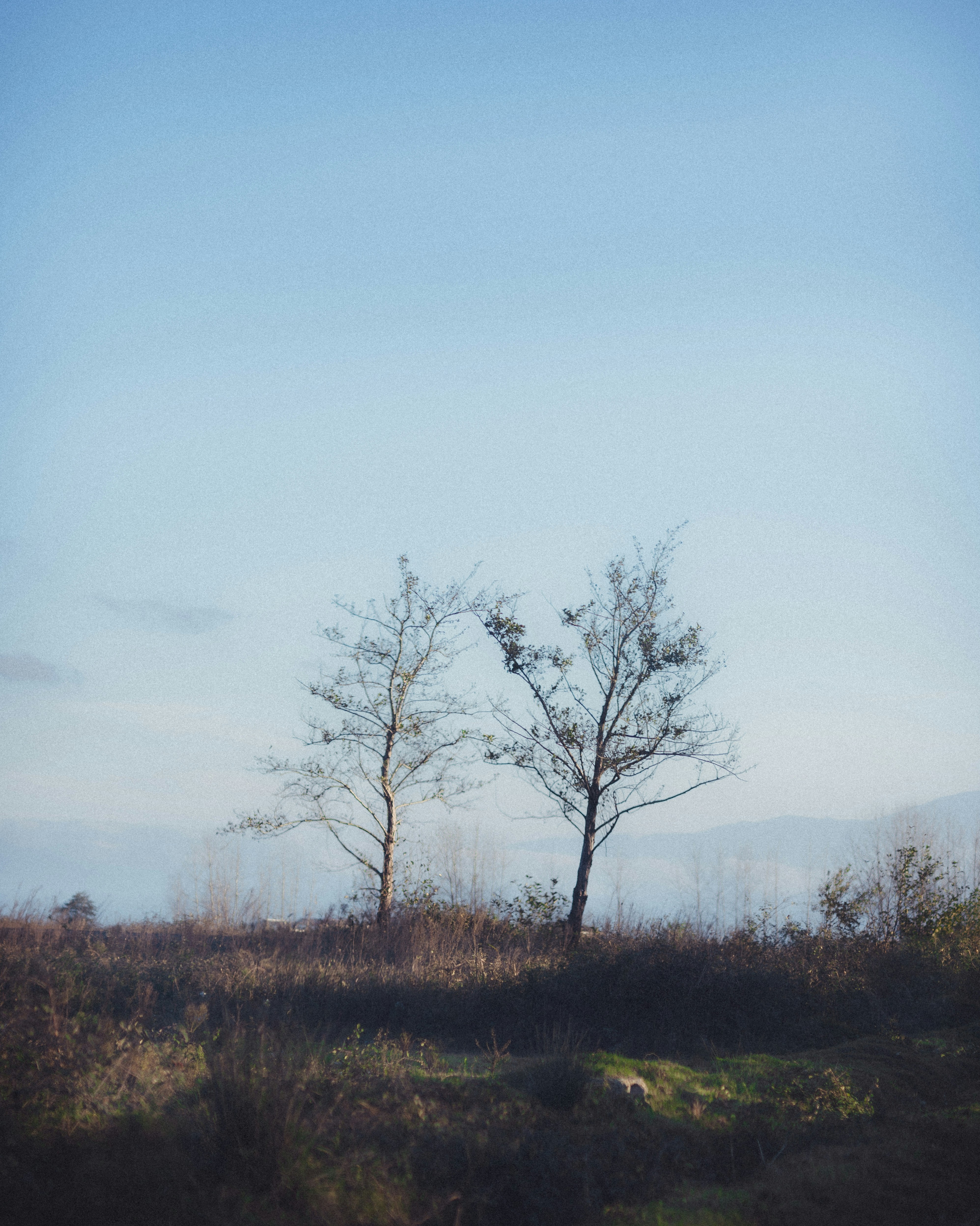 Photo by amirreza_momennia