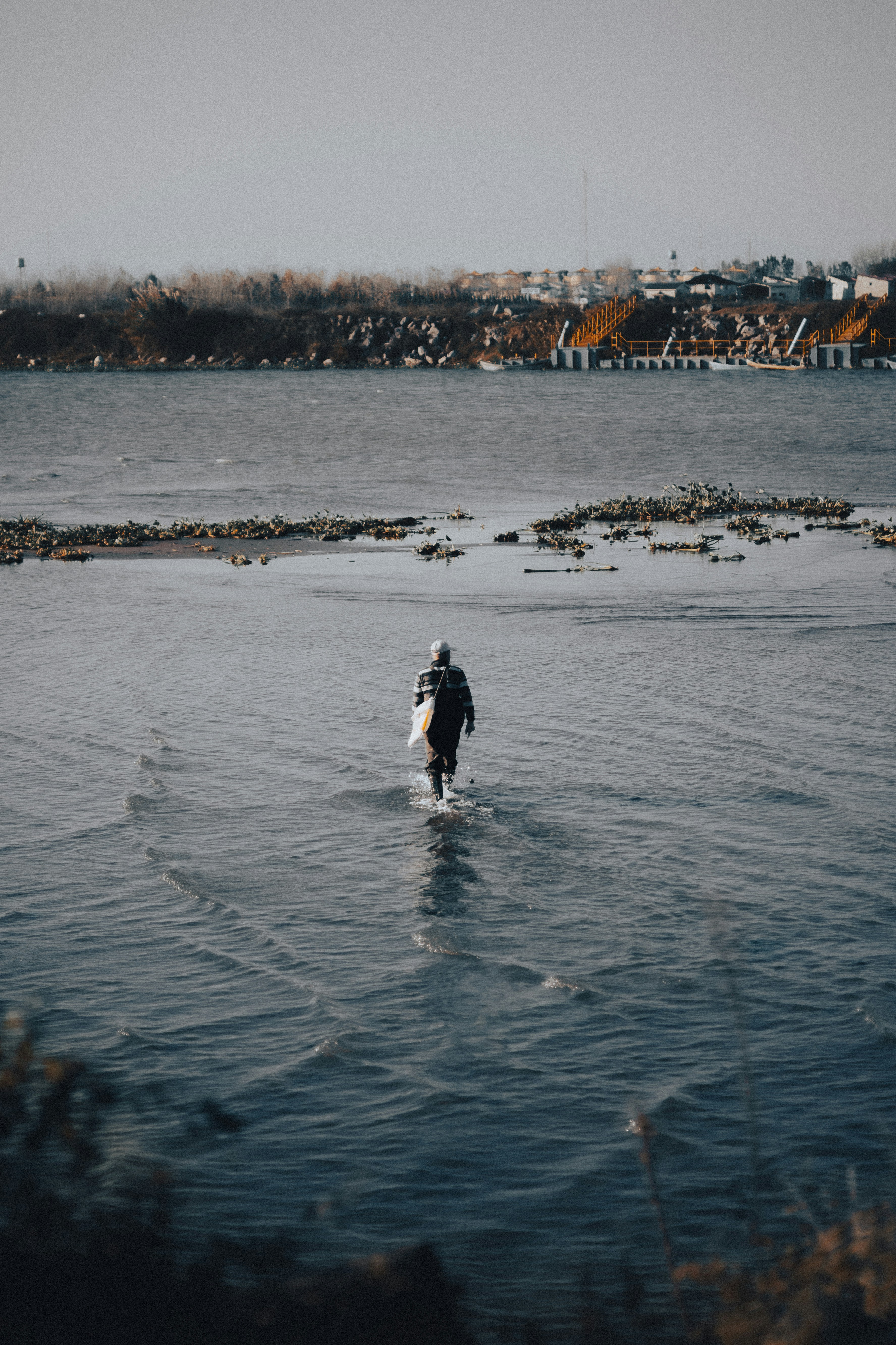 Photo by amirreza_momennia