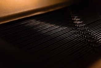 A close-up of vintage piano strings glinting under soft natural light.