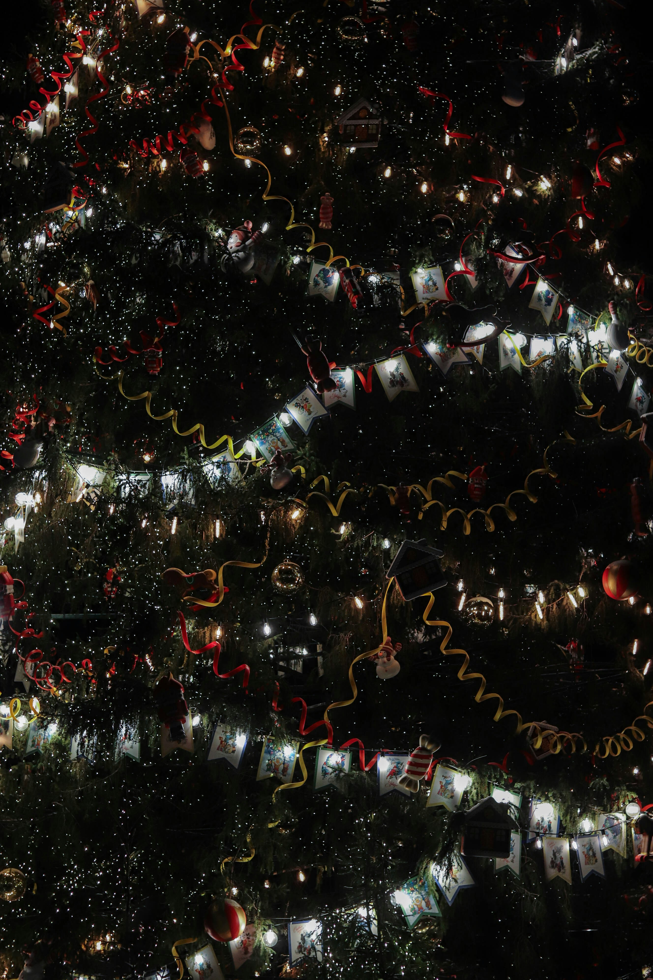 Uma grande árvore de Natal é iluminada à noite