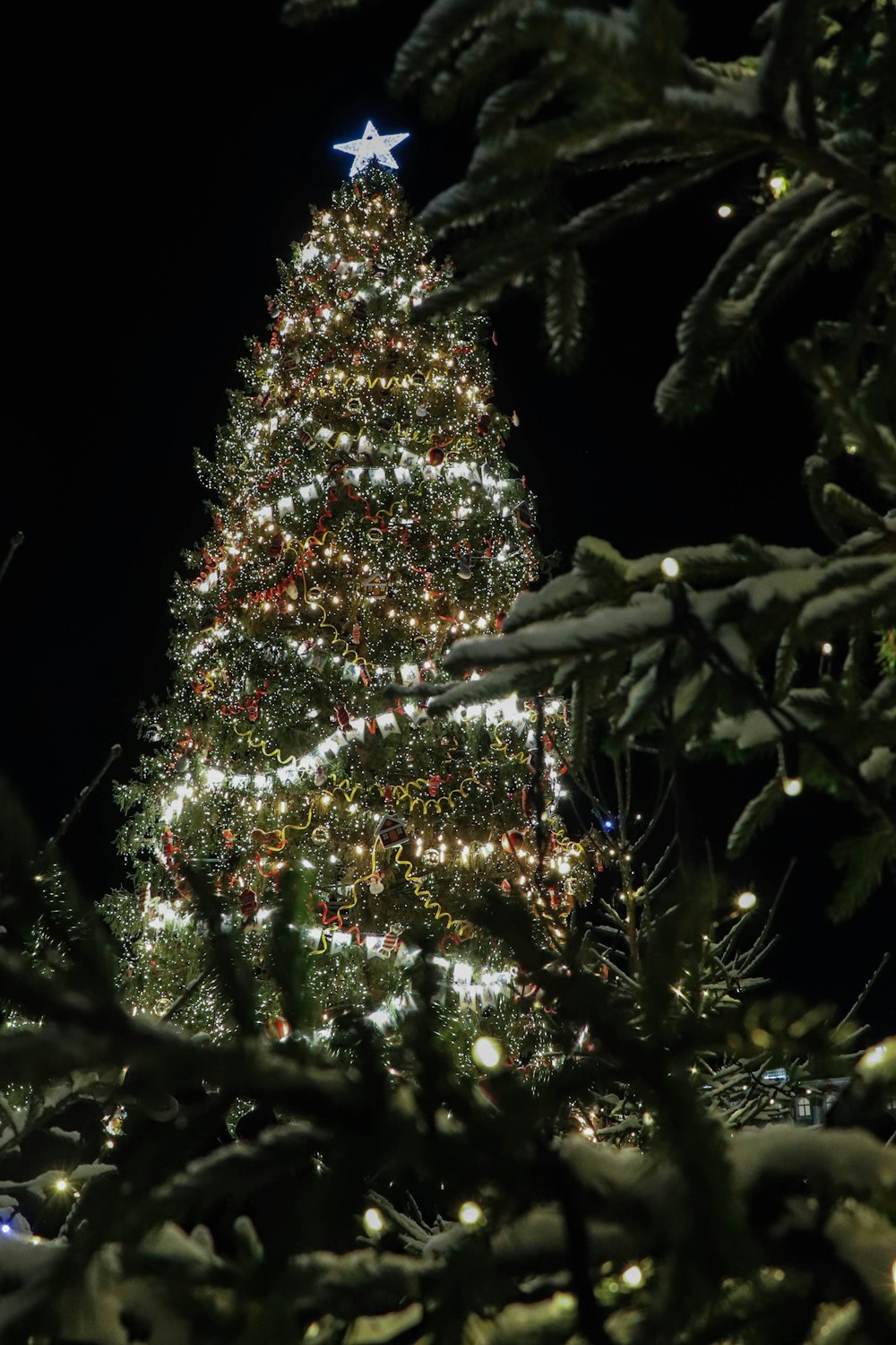 a large christmas tree is lit up at night