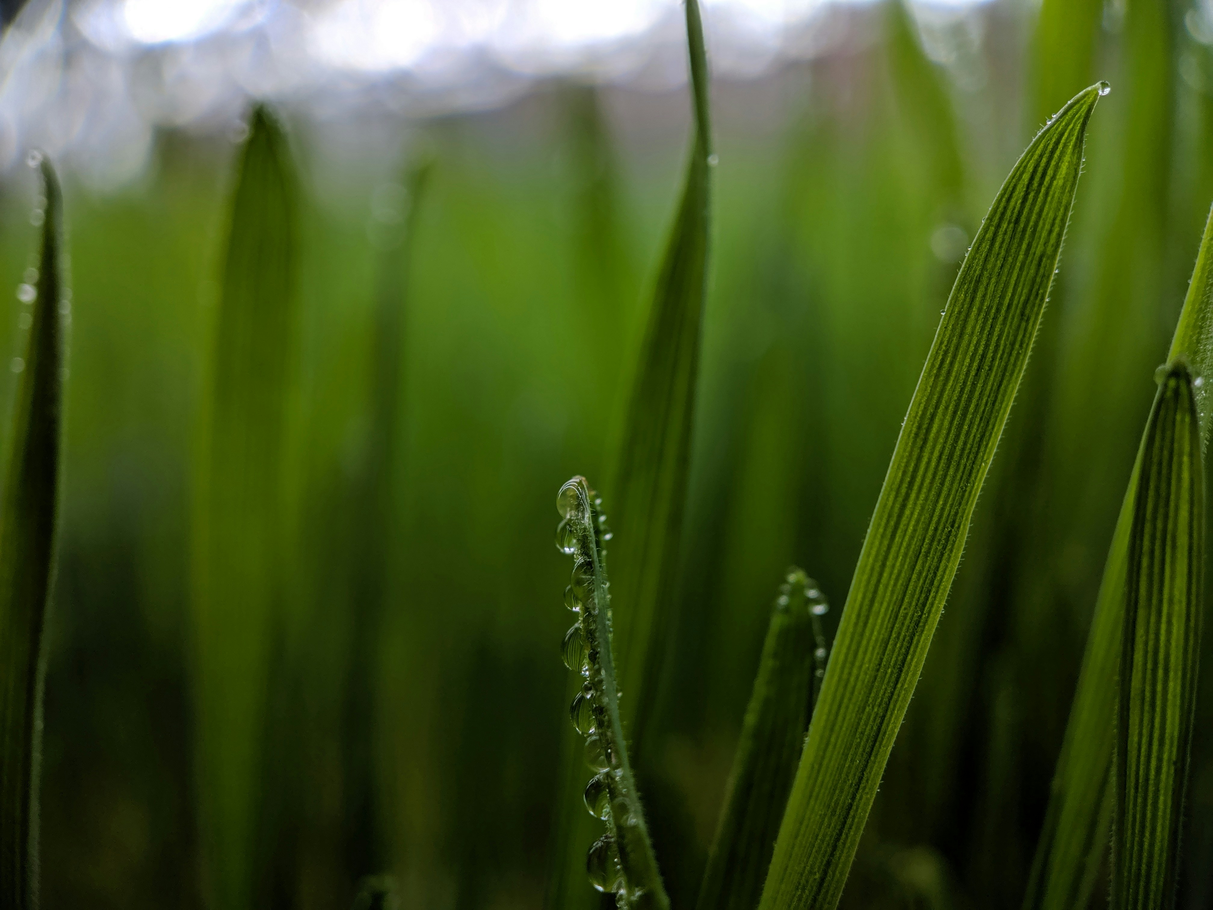 Photo by akshayspaceship