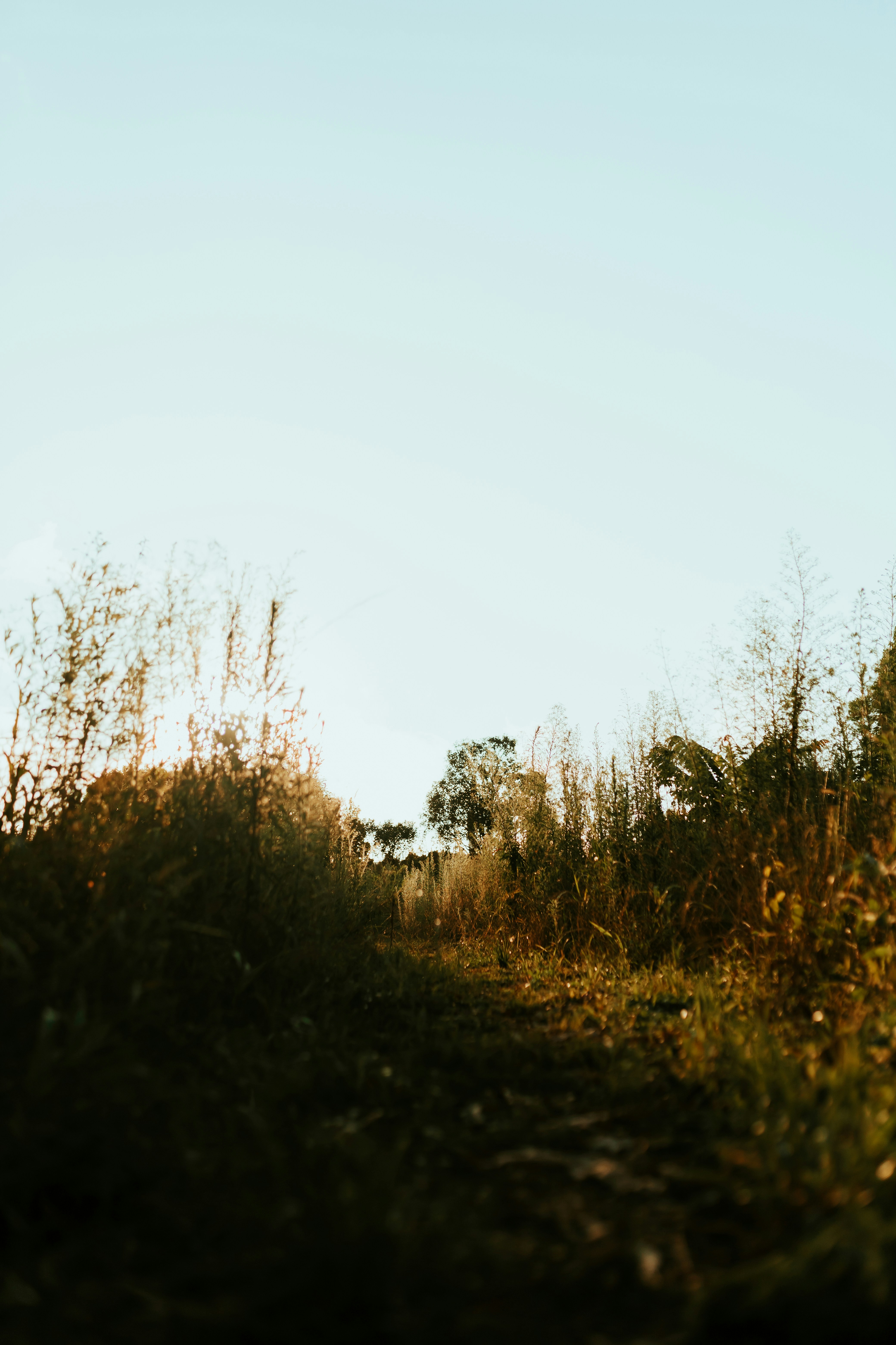 Photo by alexandermassph