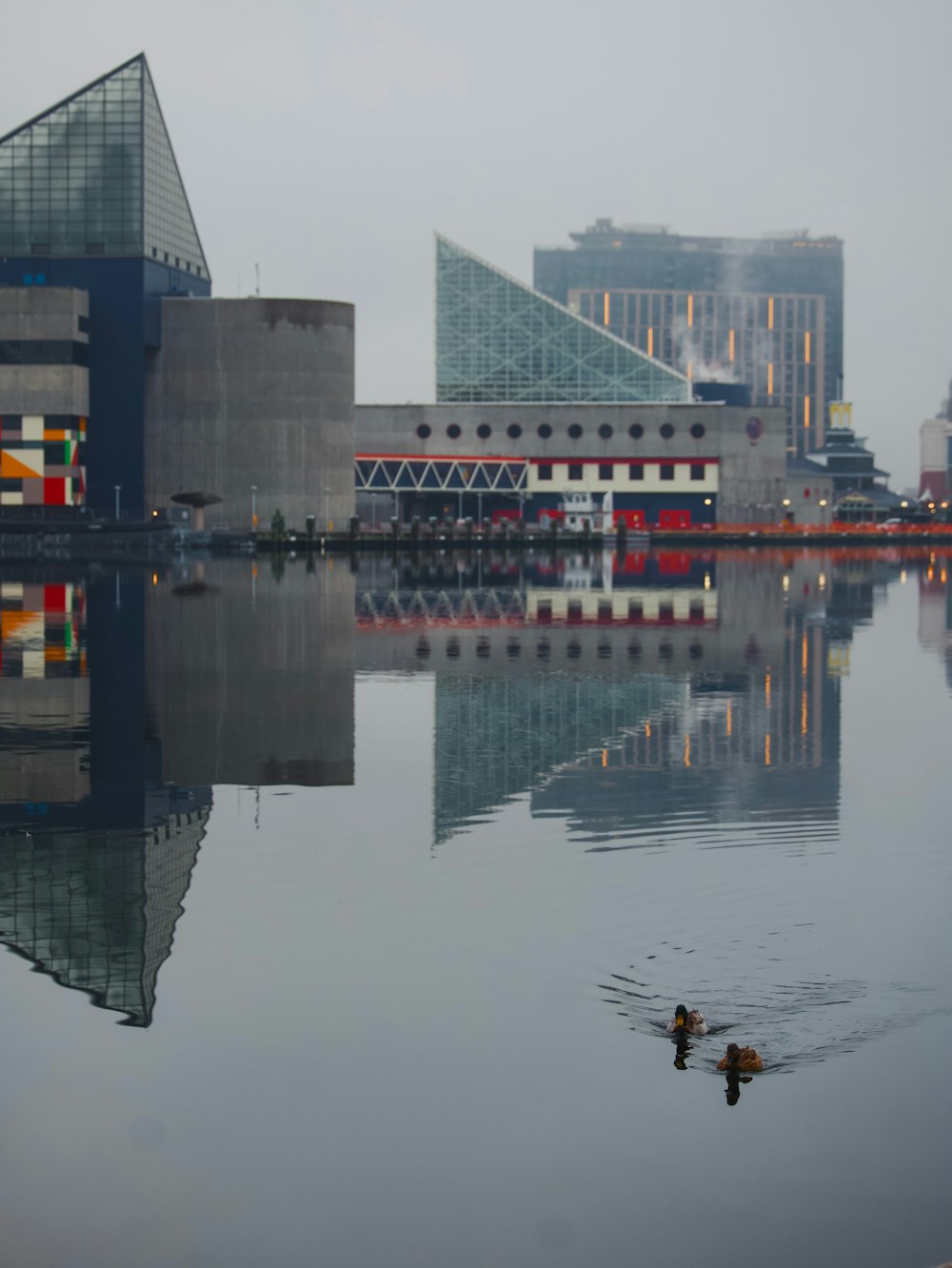 una gran masa de agua con un edificio al fondo