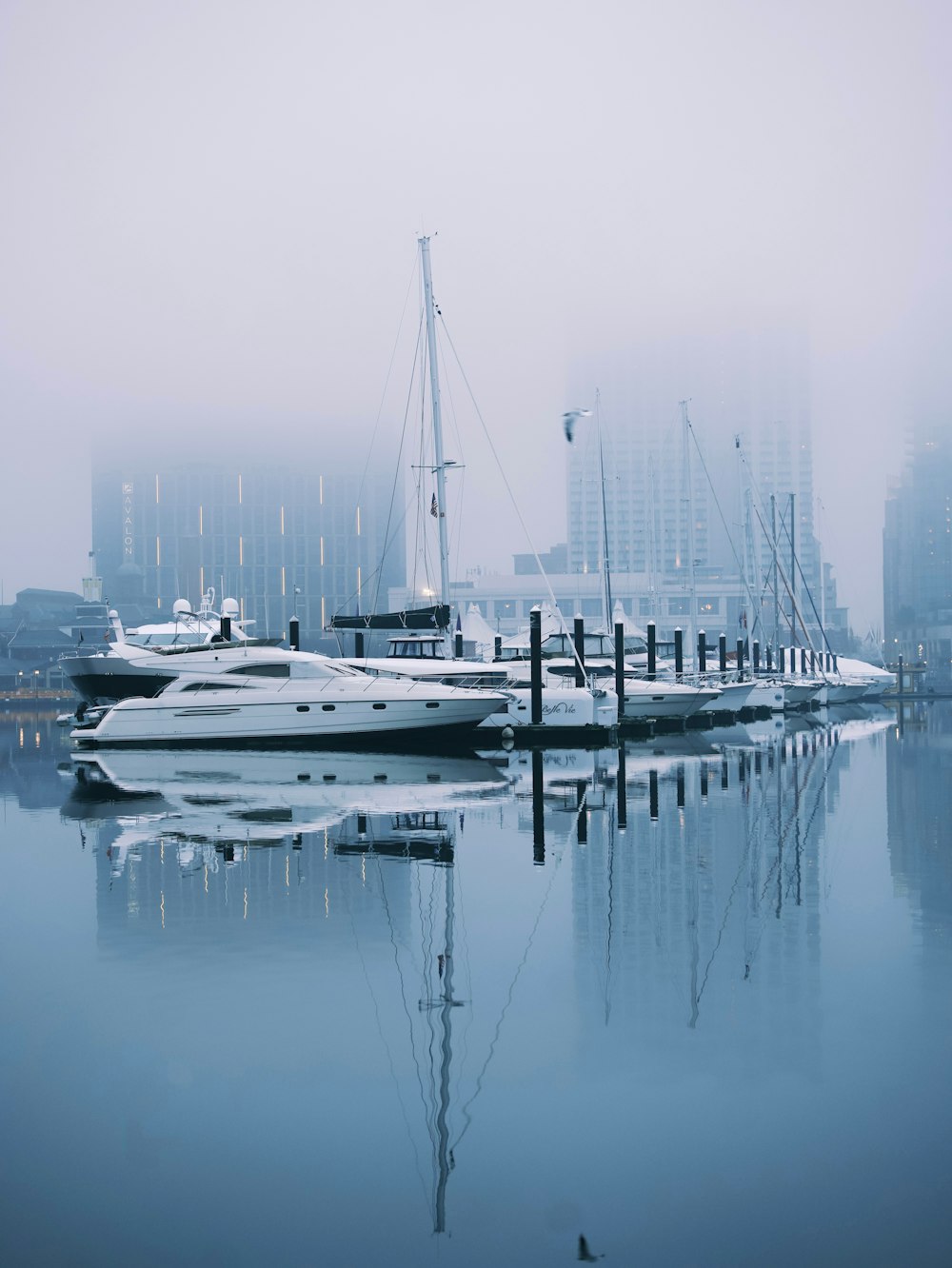 a harbor filled with lots of boats on a foggy day