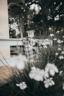 Cozy farmhouse porch with blooming flowers and a rustic wooden bench under soft morning light.
