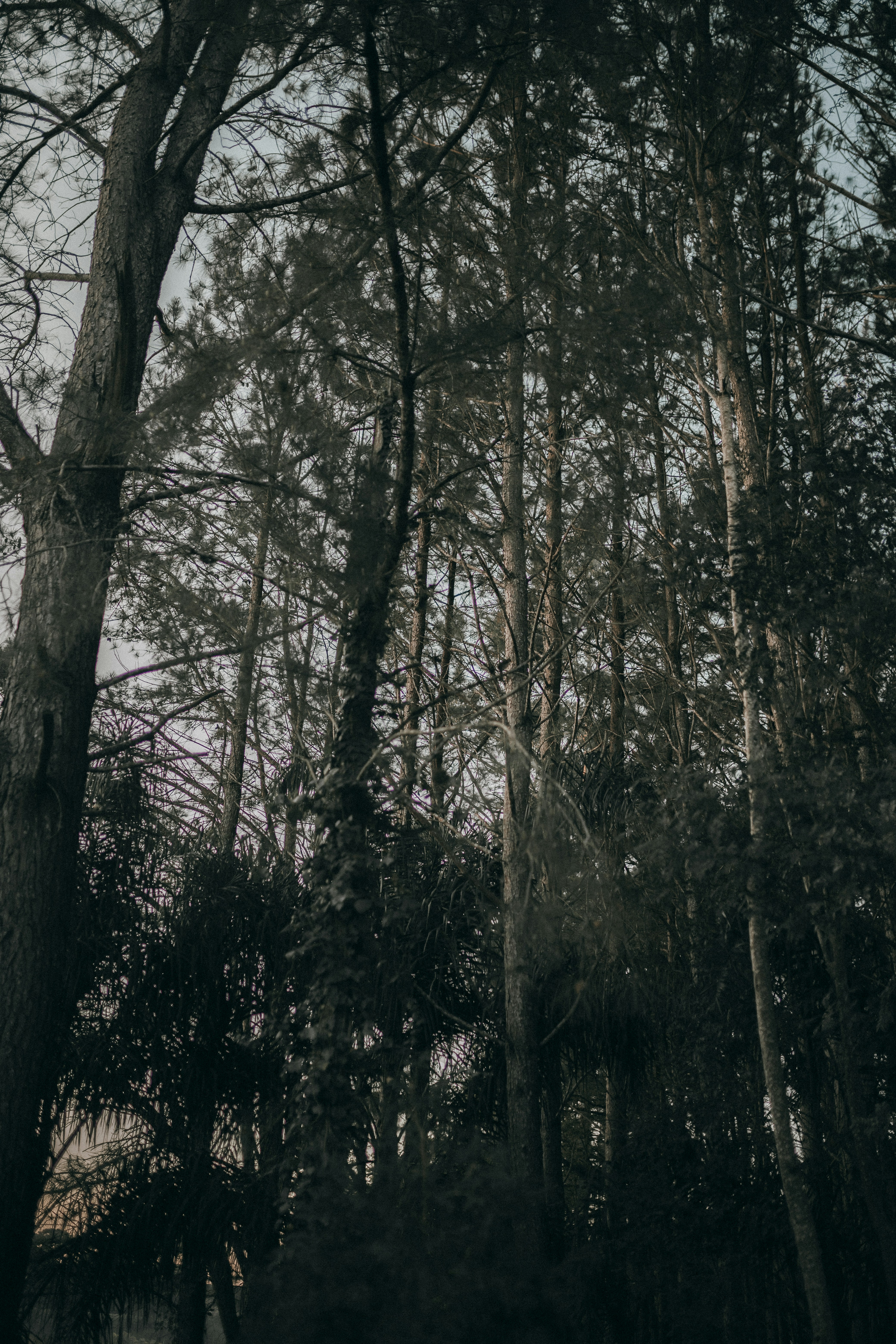 Photo by alexandermassph