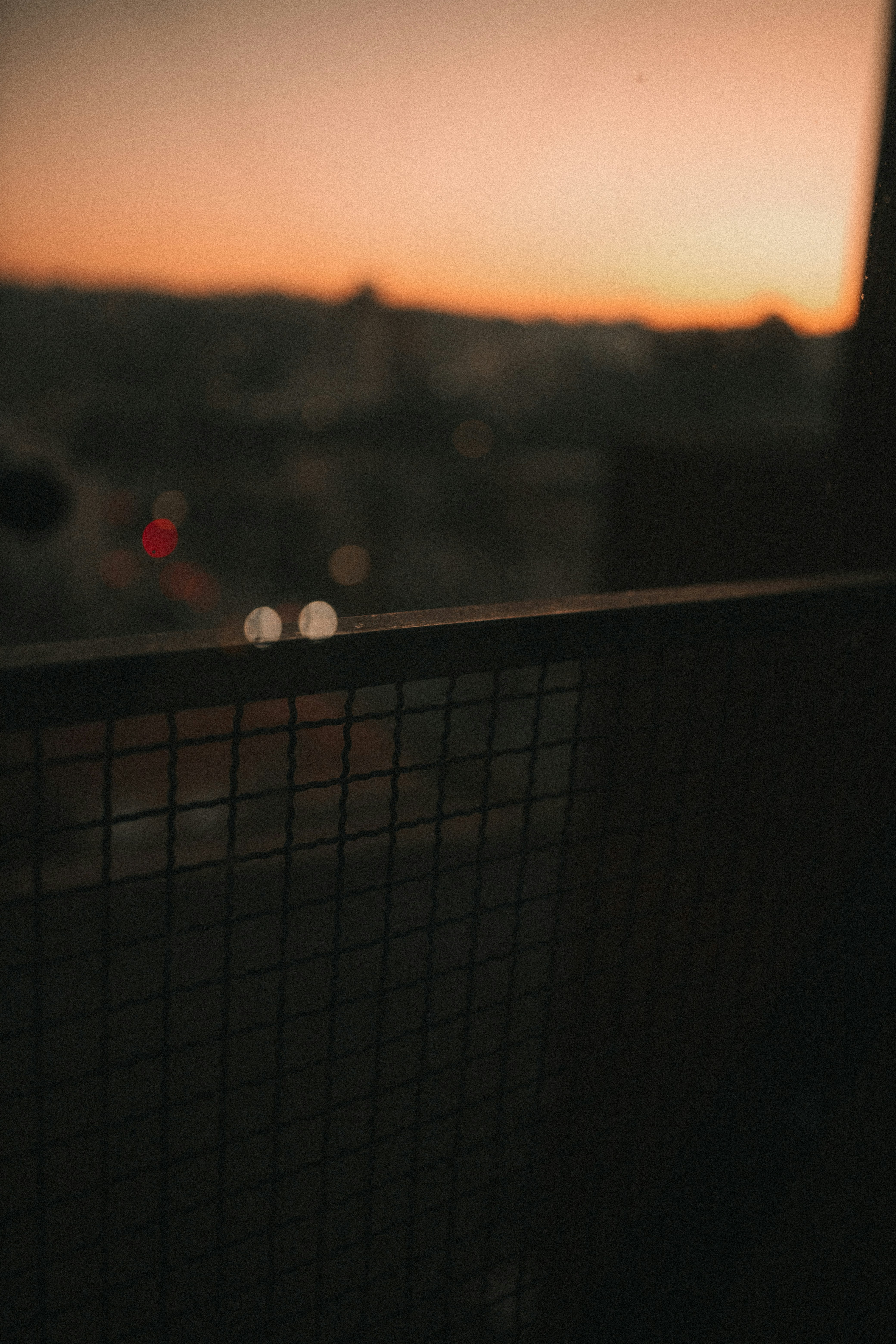 Photo by alexandermassph