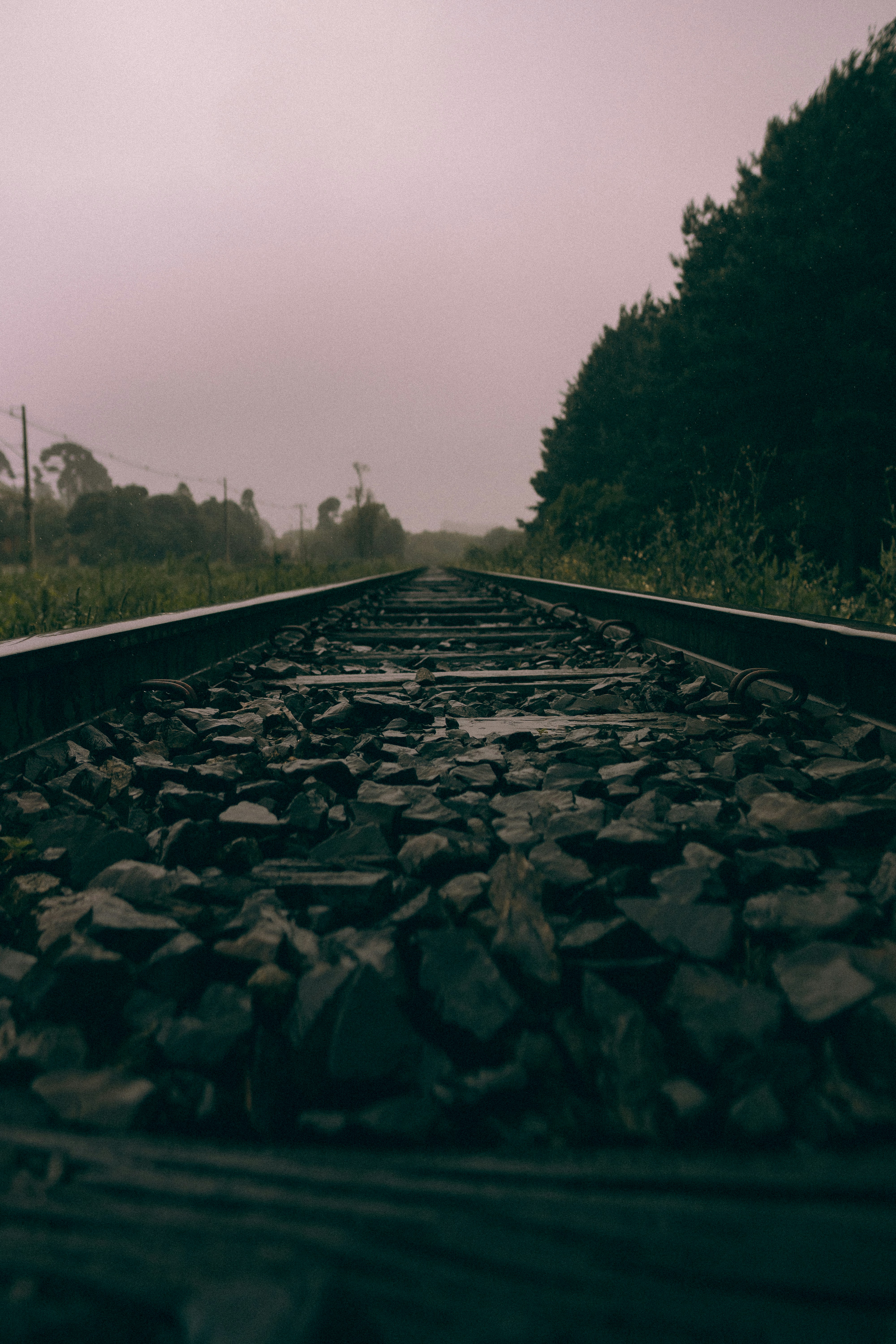 Photo by alexandermassph