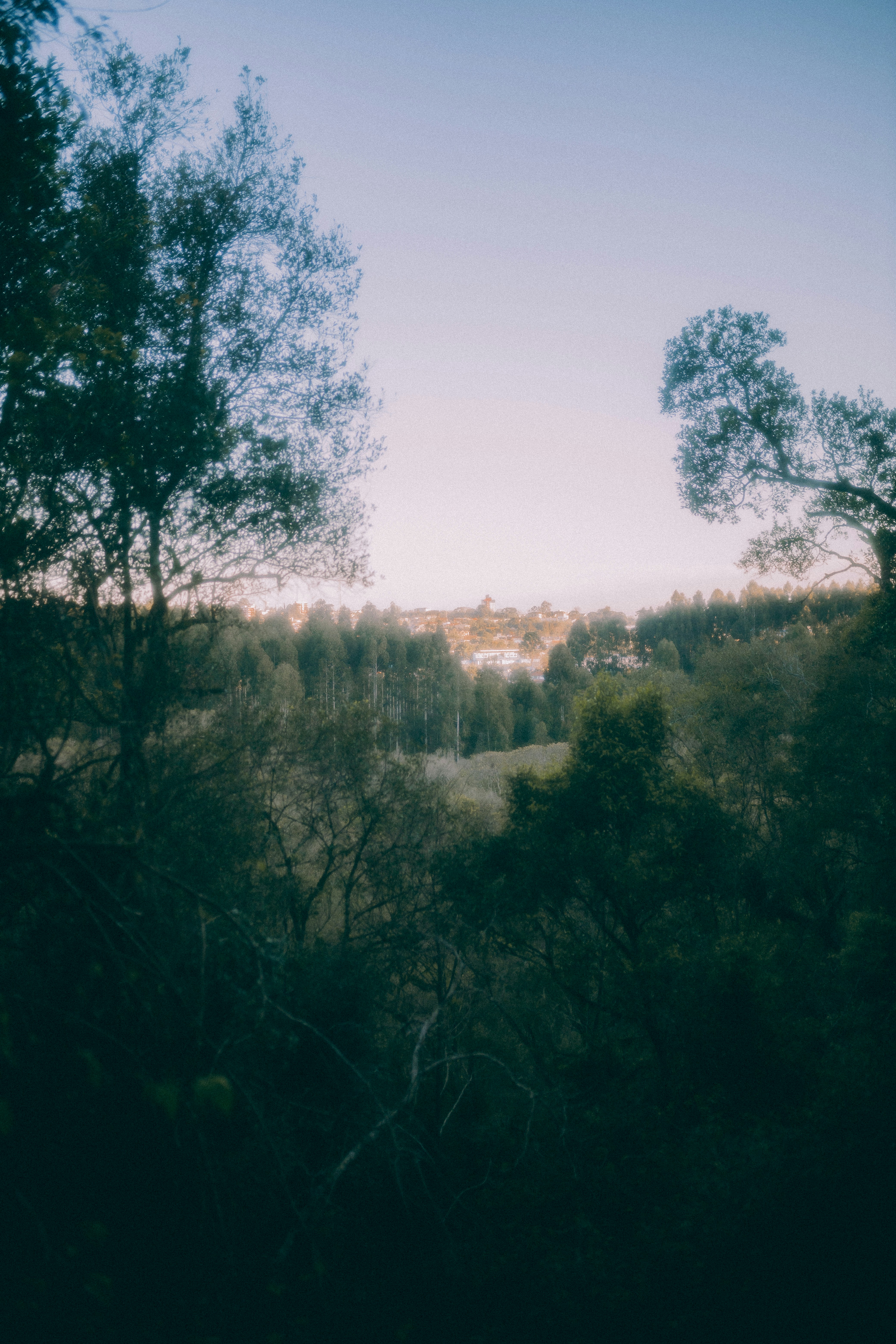 Photo by alexandermassph