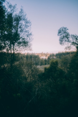 A scenic view of a forested area in Kocaeli.