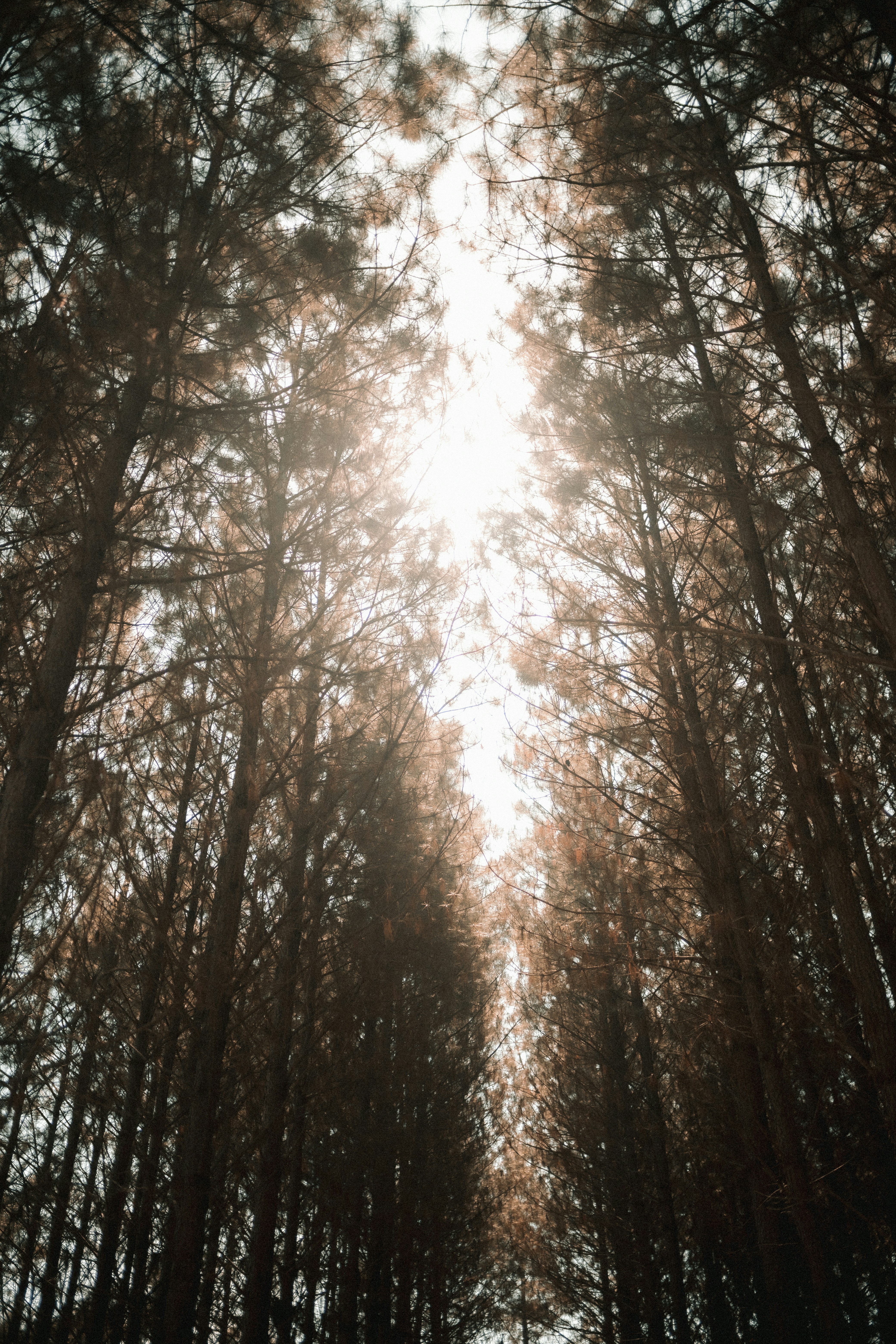 Photo by alexandermassph