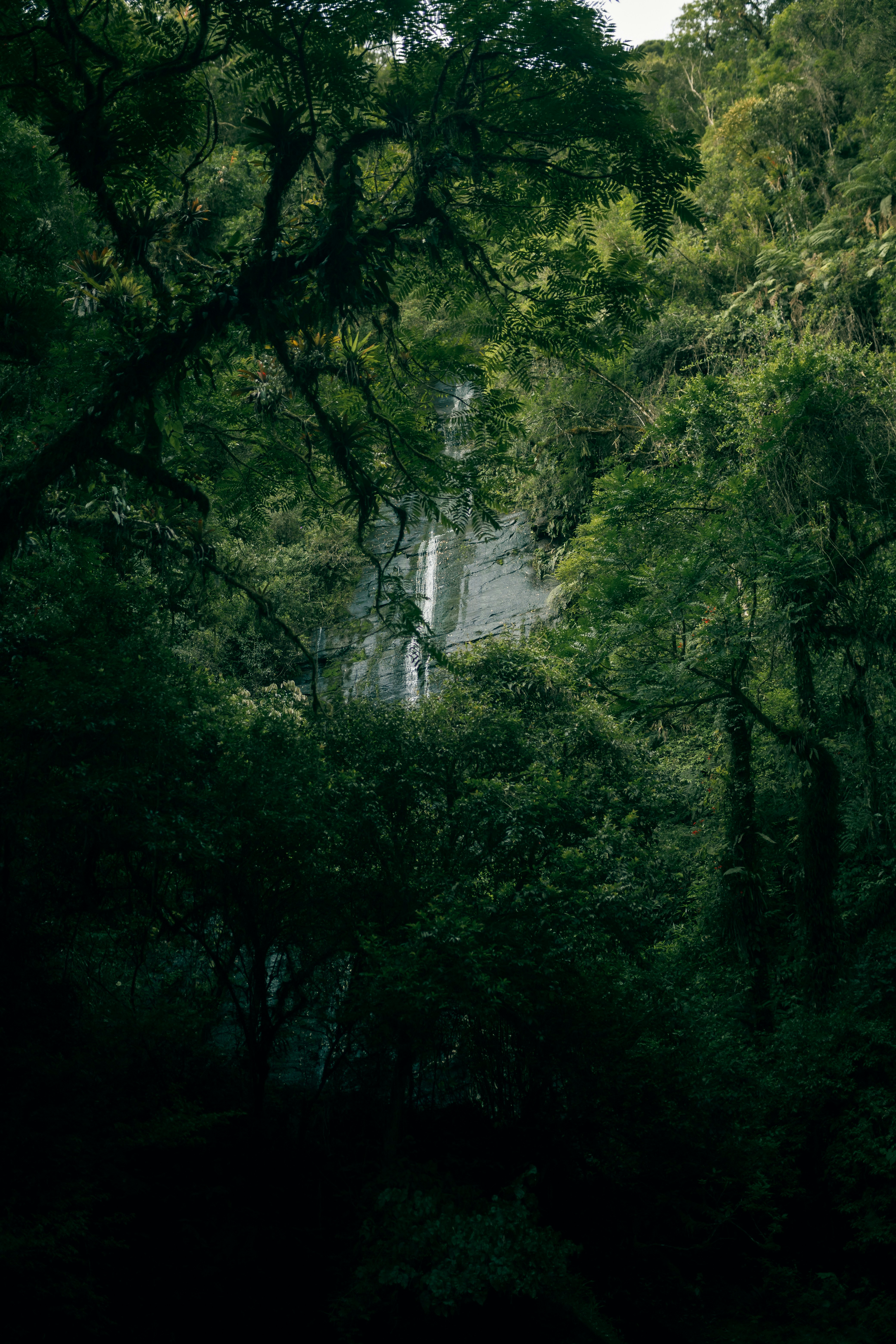 Photo by alexandermassph