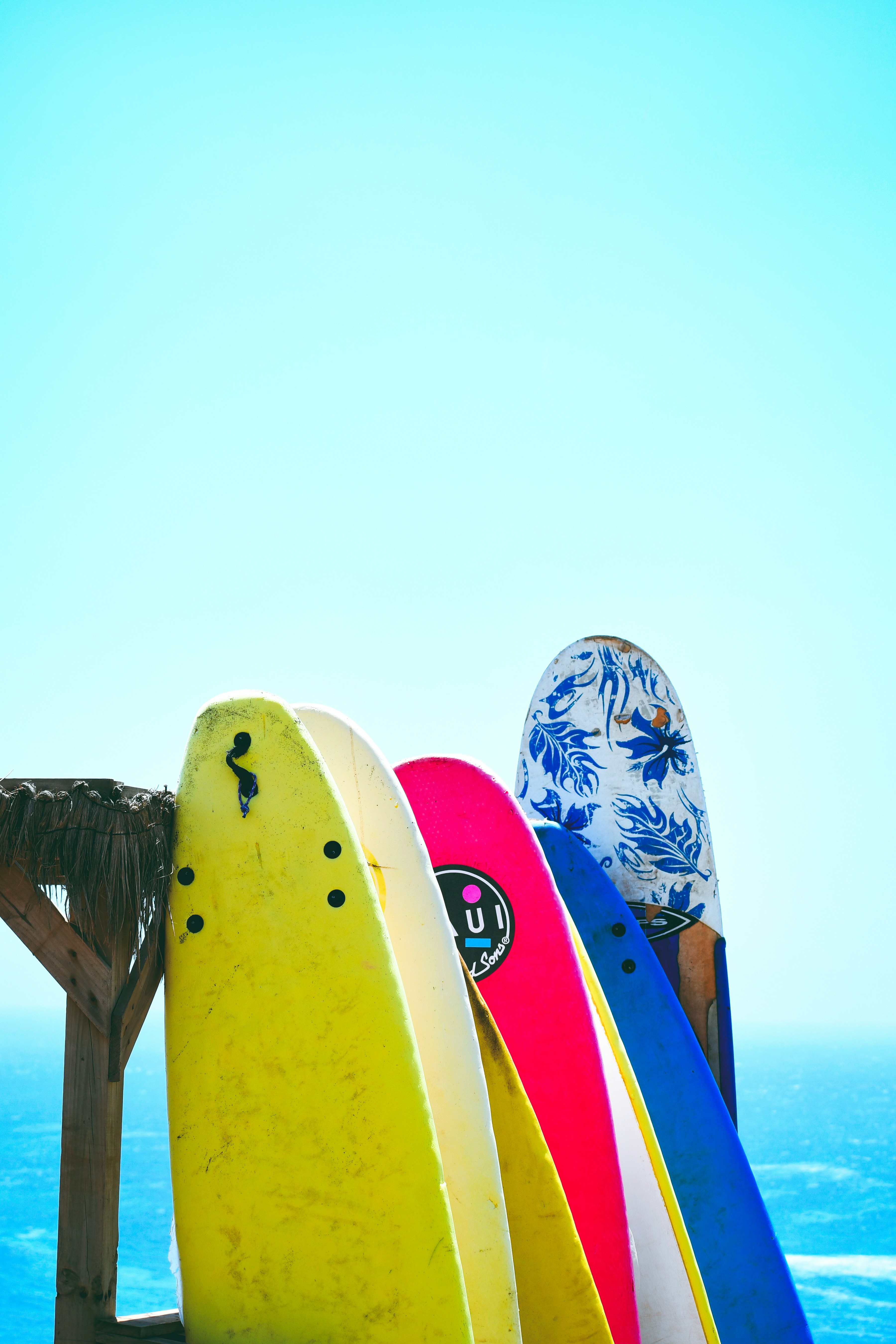 Surfboard Essentials