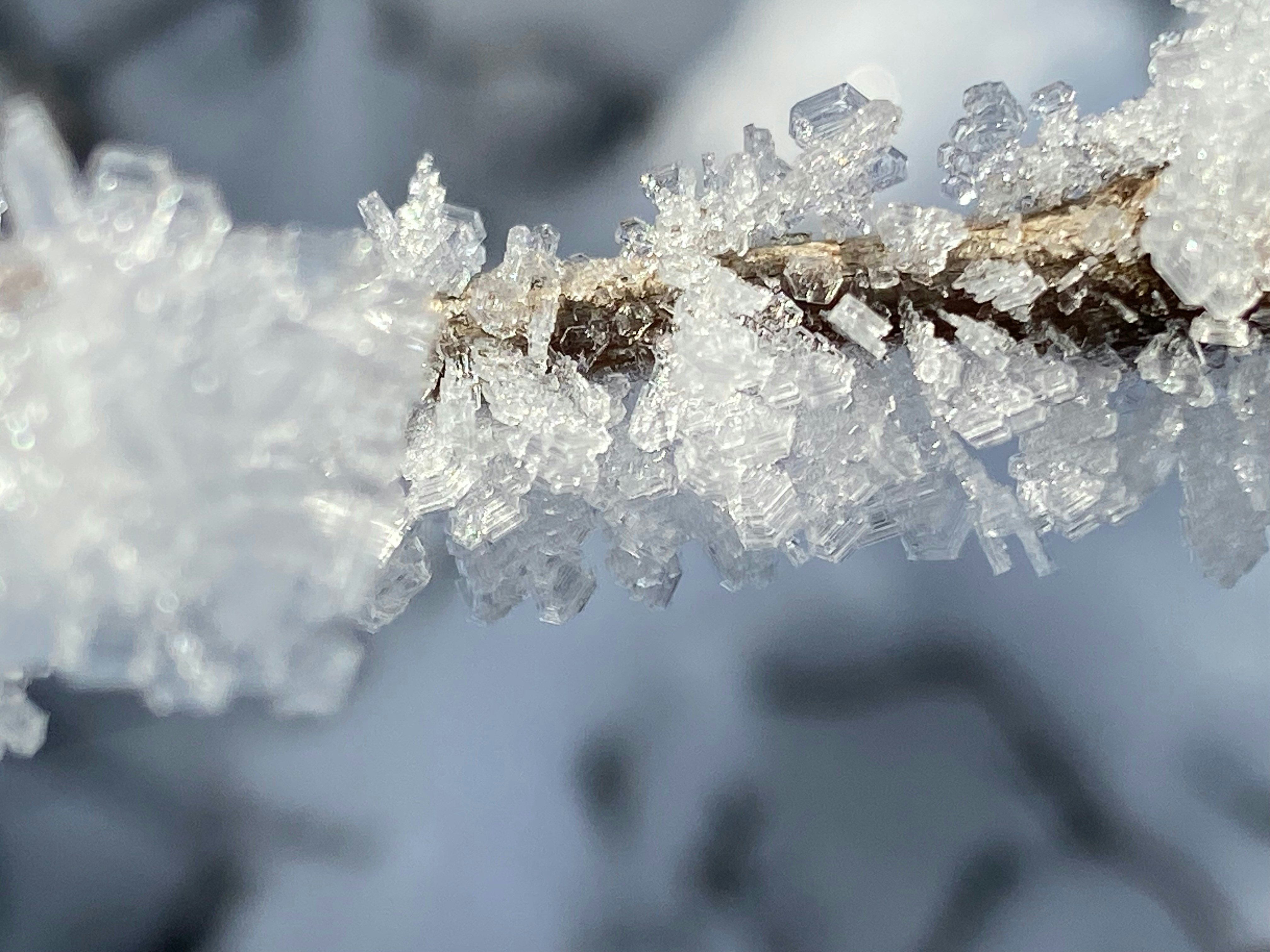 Photo by beutifulnature