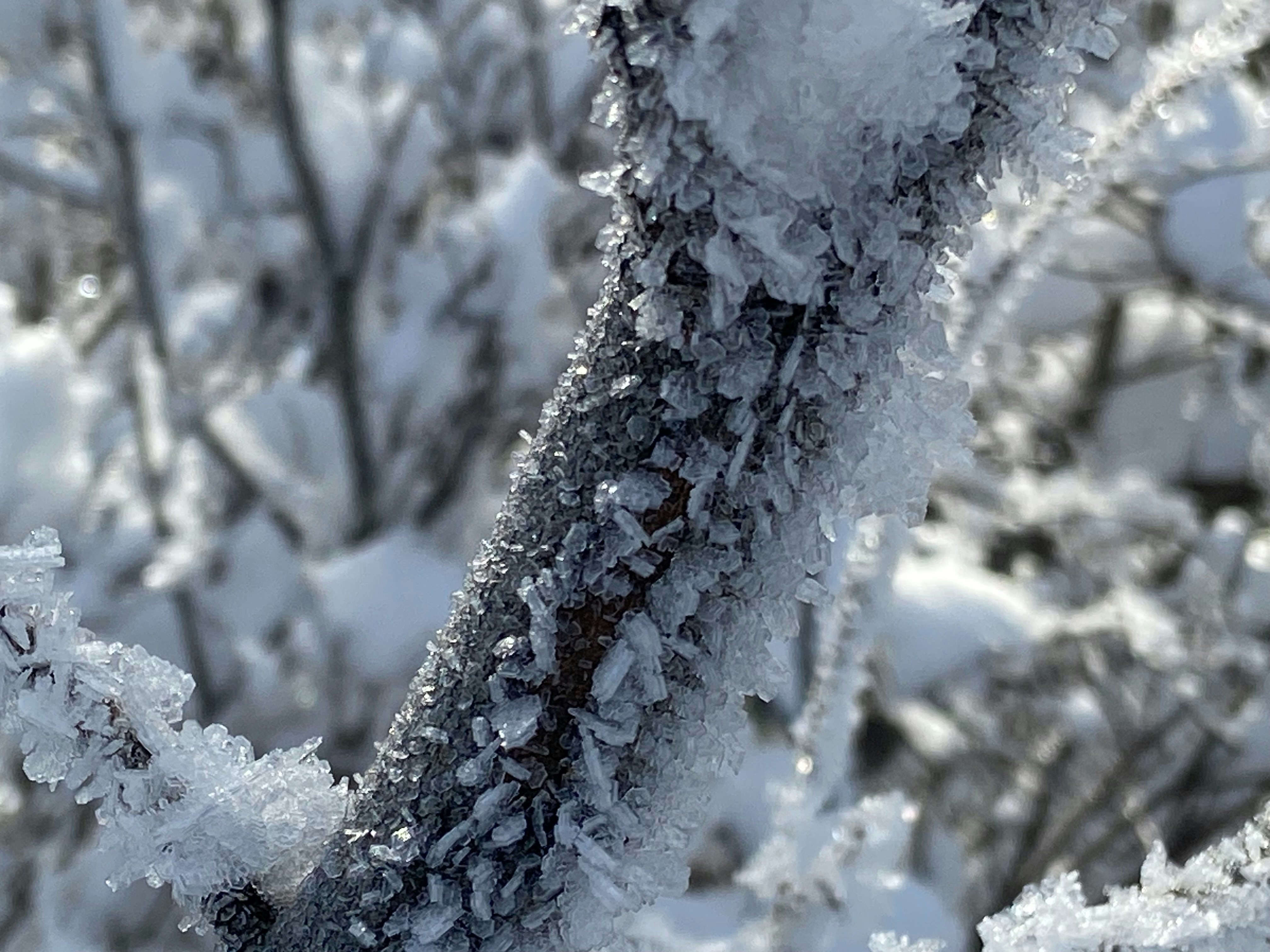 Winter Storm Warning: Arctic Outbreak to Bring Heavy Snow, Dangerous Cold to Saline County