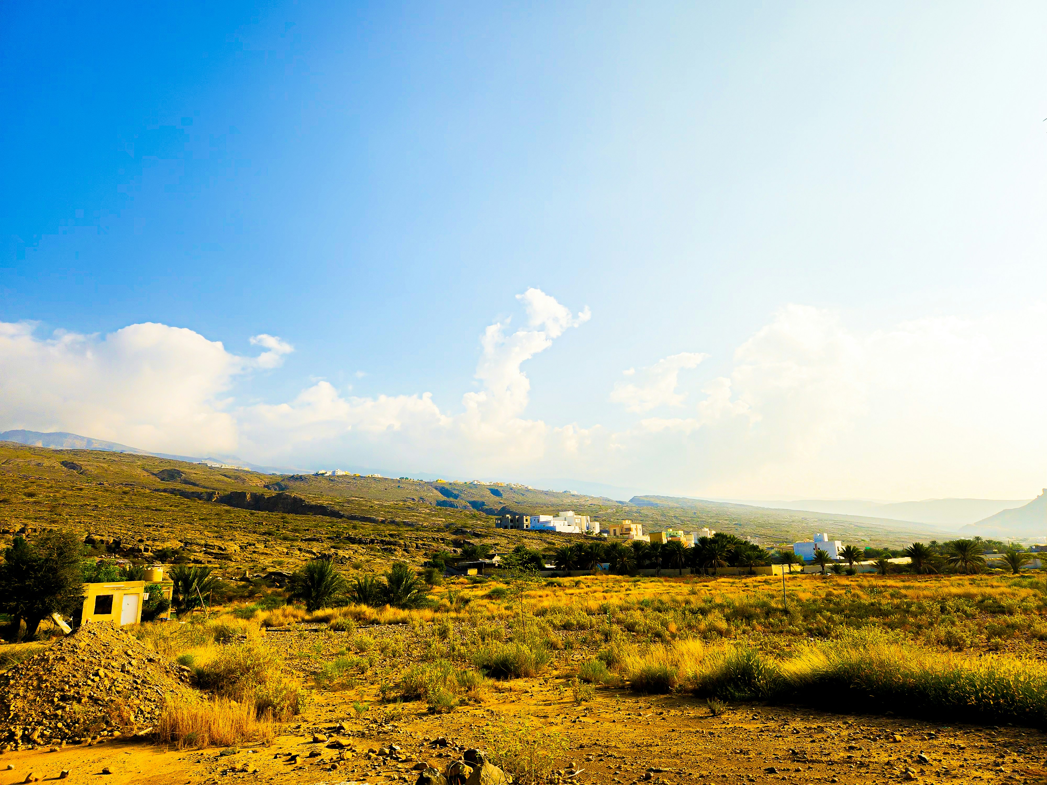 Photo by your_scorpion