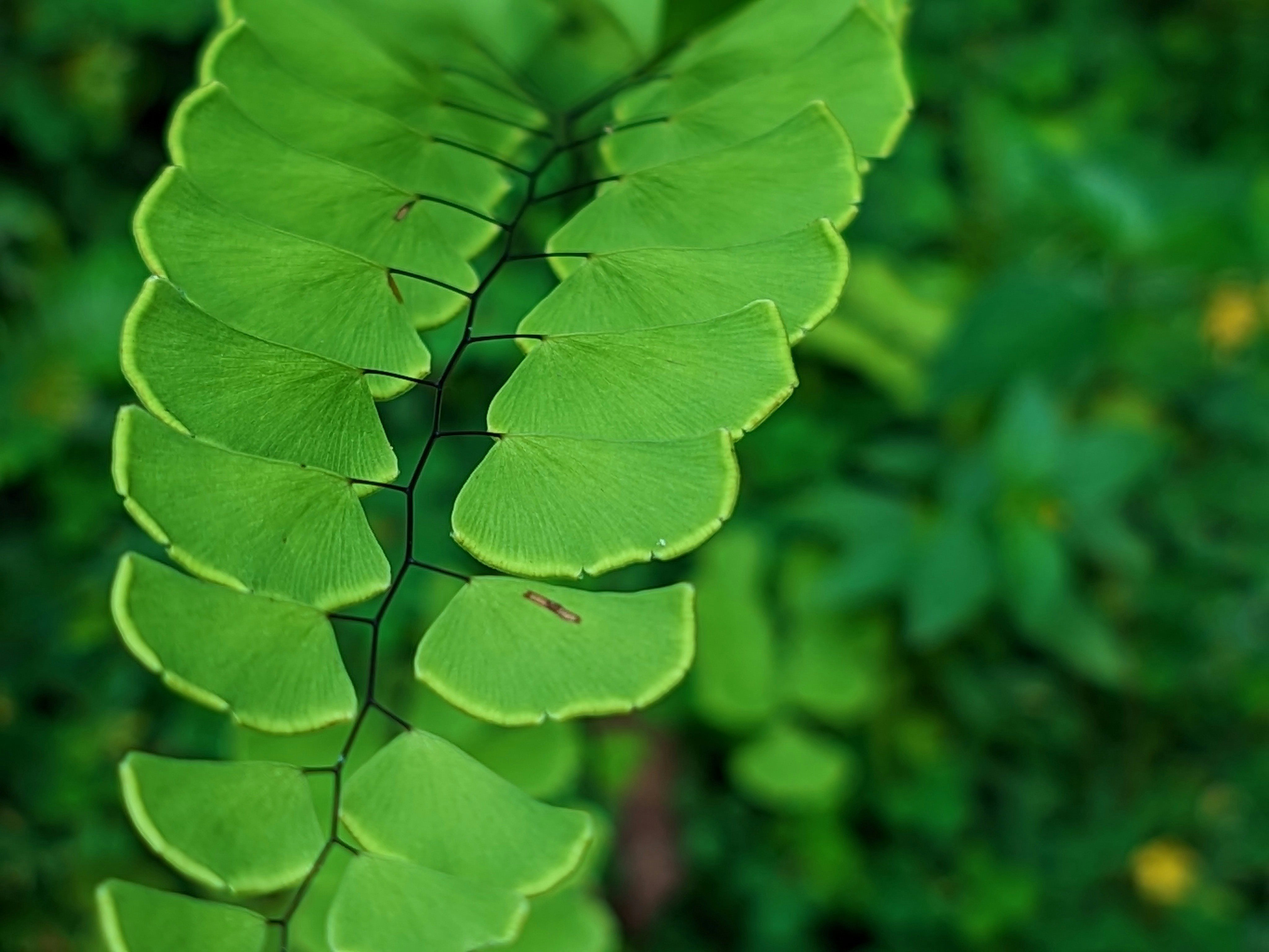 Photo by syamnani140