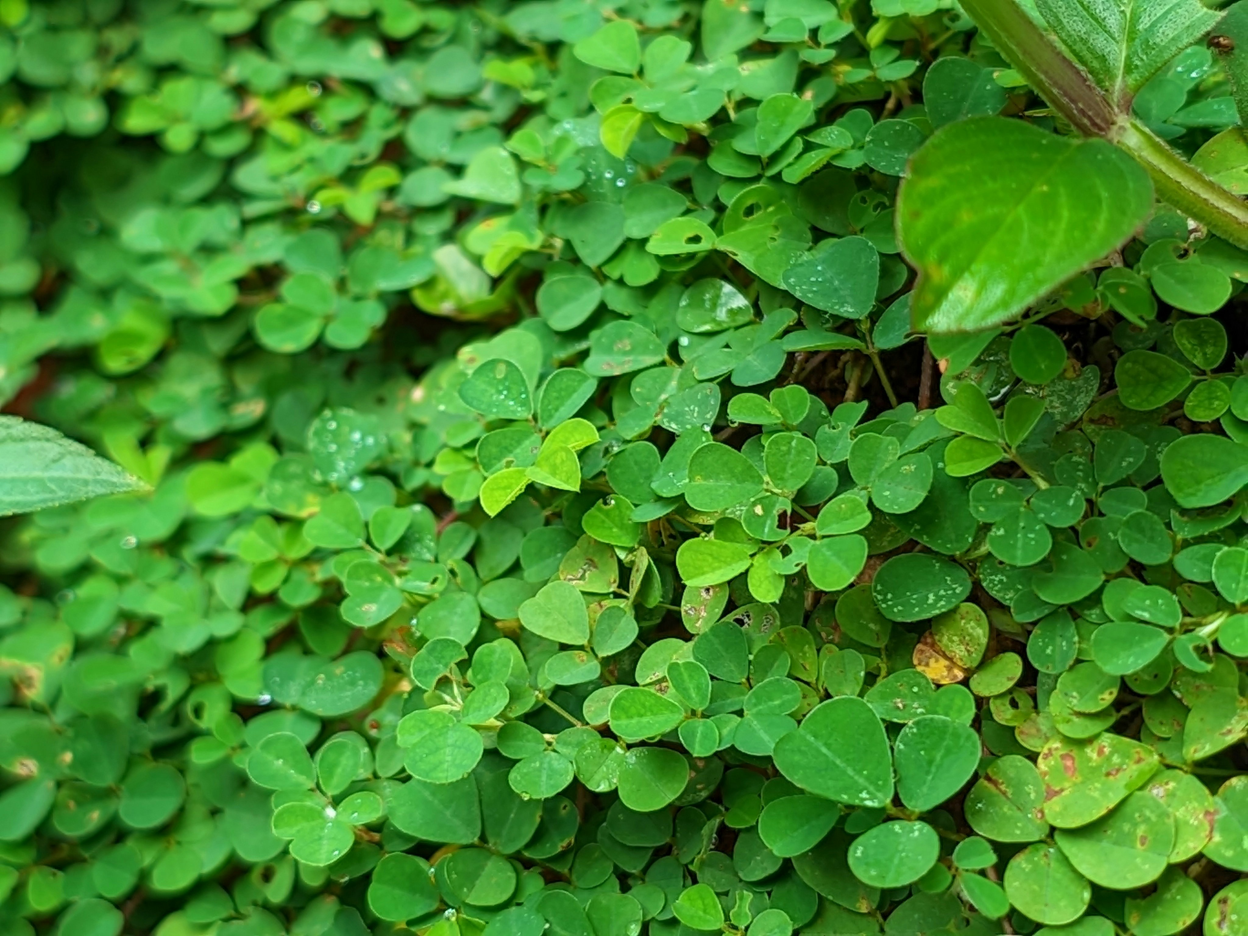 Photo by syamnani140