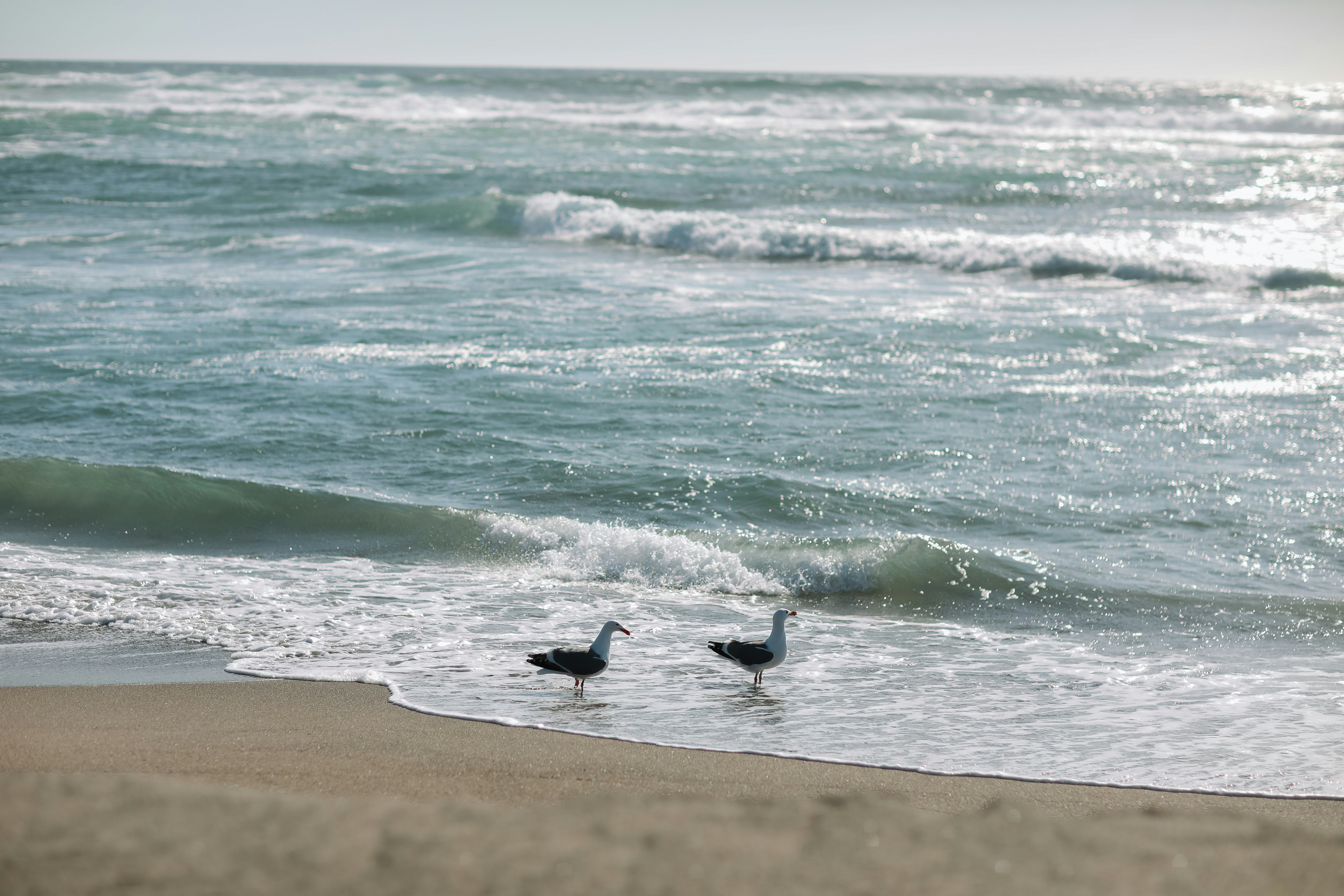 Photo by brittanyreanne