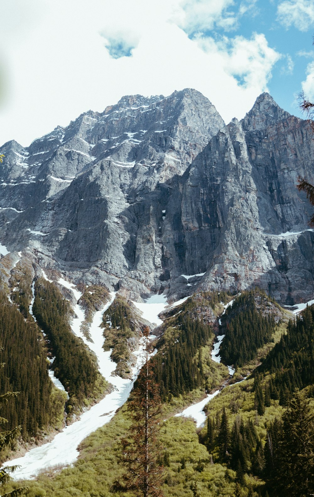 a snow covered mountain with trees and snow on the ground