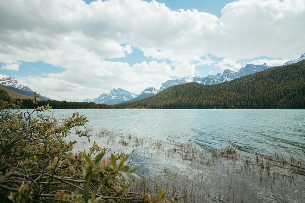 a body of water surrounded by mountains and trees