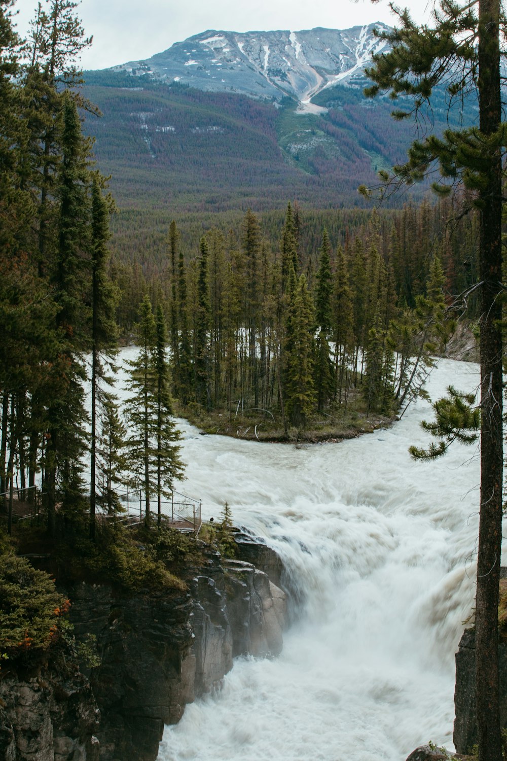 a river running through a forest filled with trees