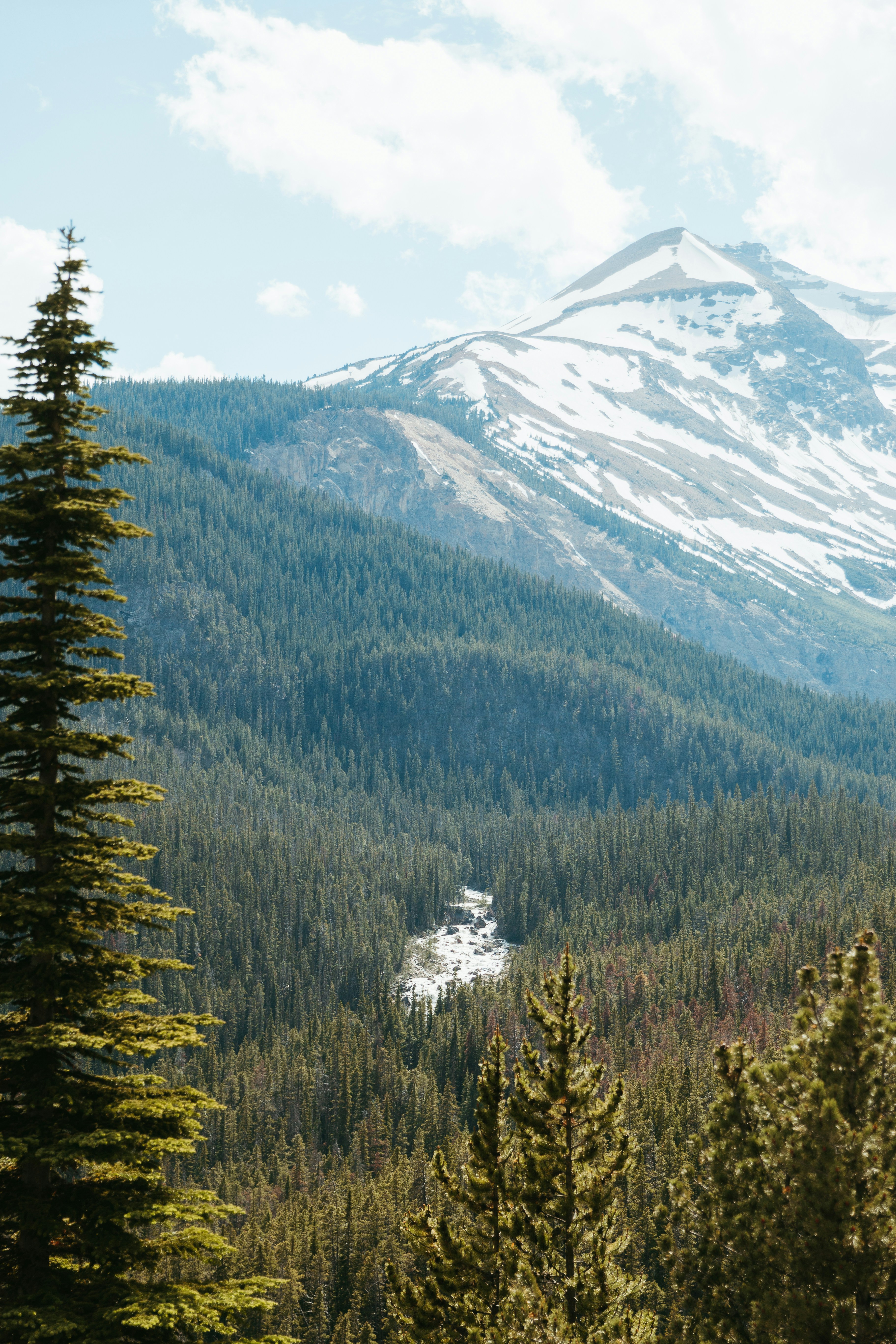 Photo by brittanyreanne