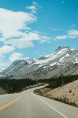 Snow-capped peaks of Himachal Pradesh with pine forests and a winding mountain road.