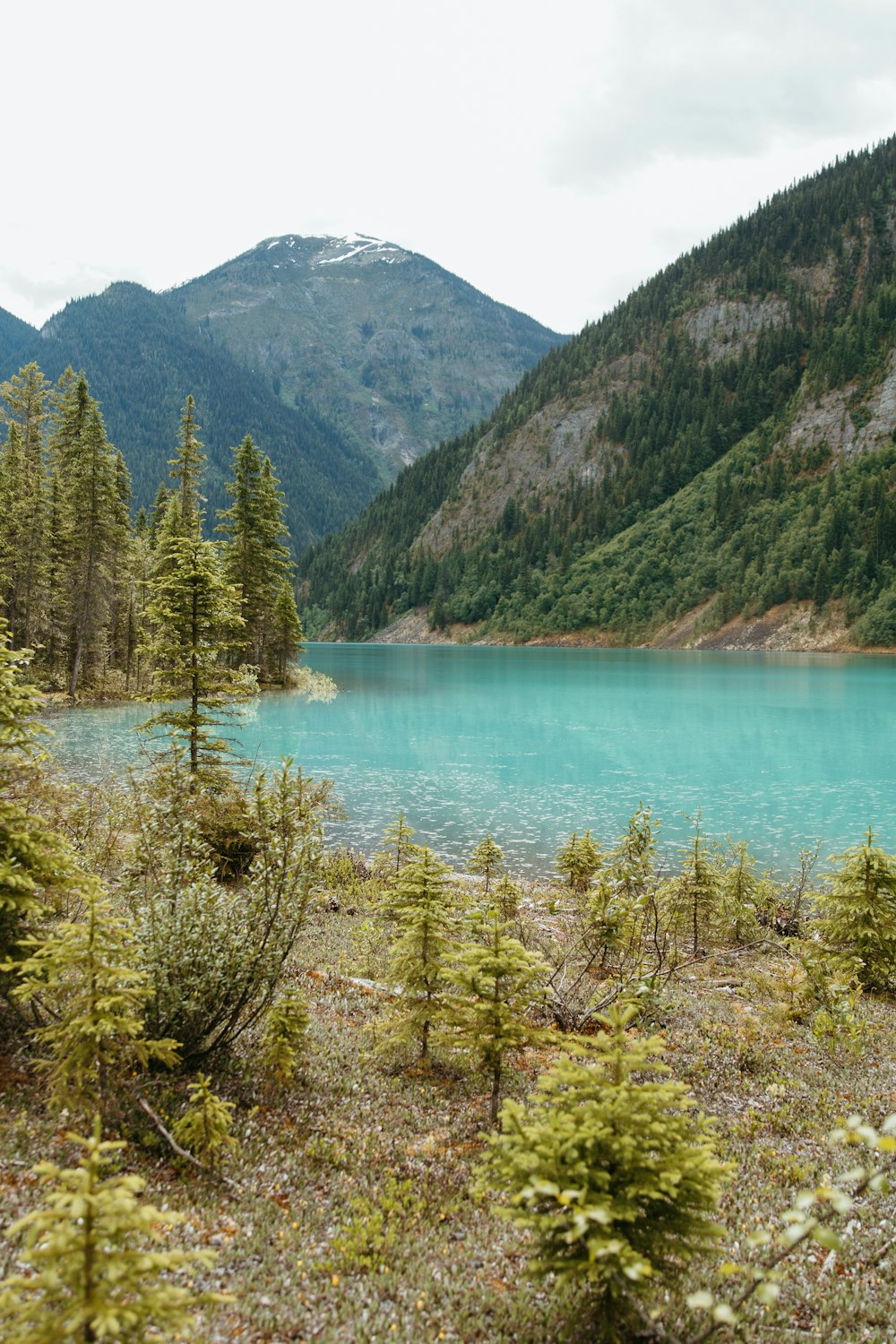 a blue lake surrounded by mountains and trees