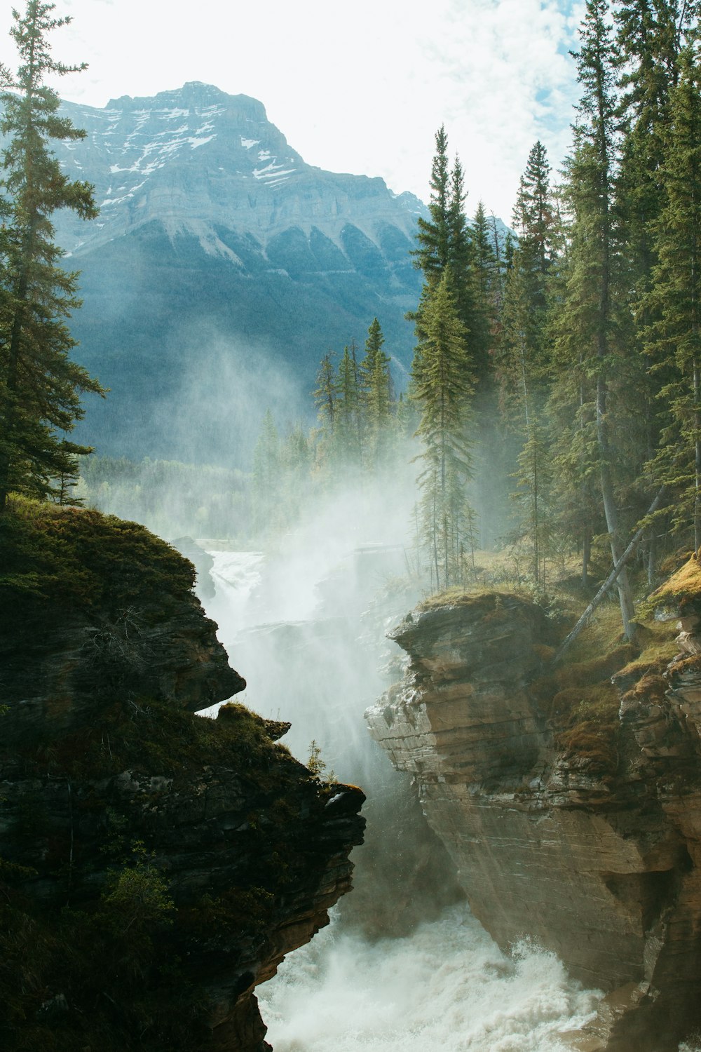 a waterfall in the middle of a forest filled with trees