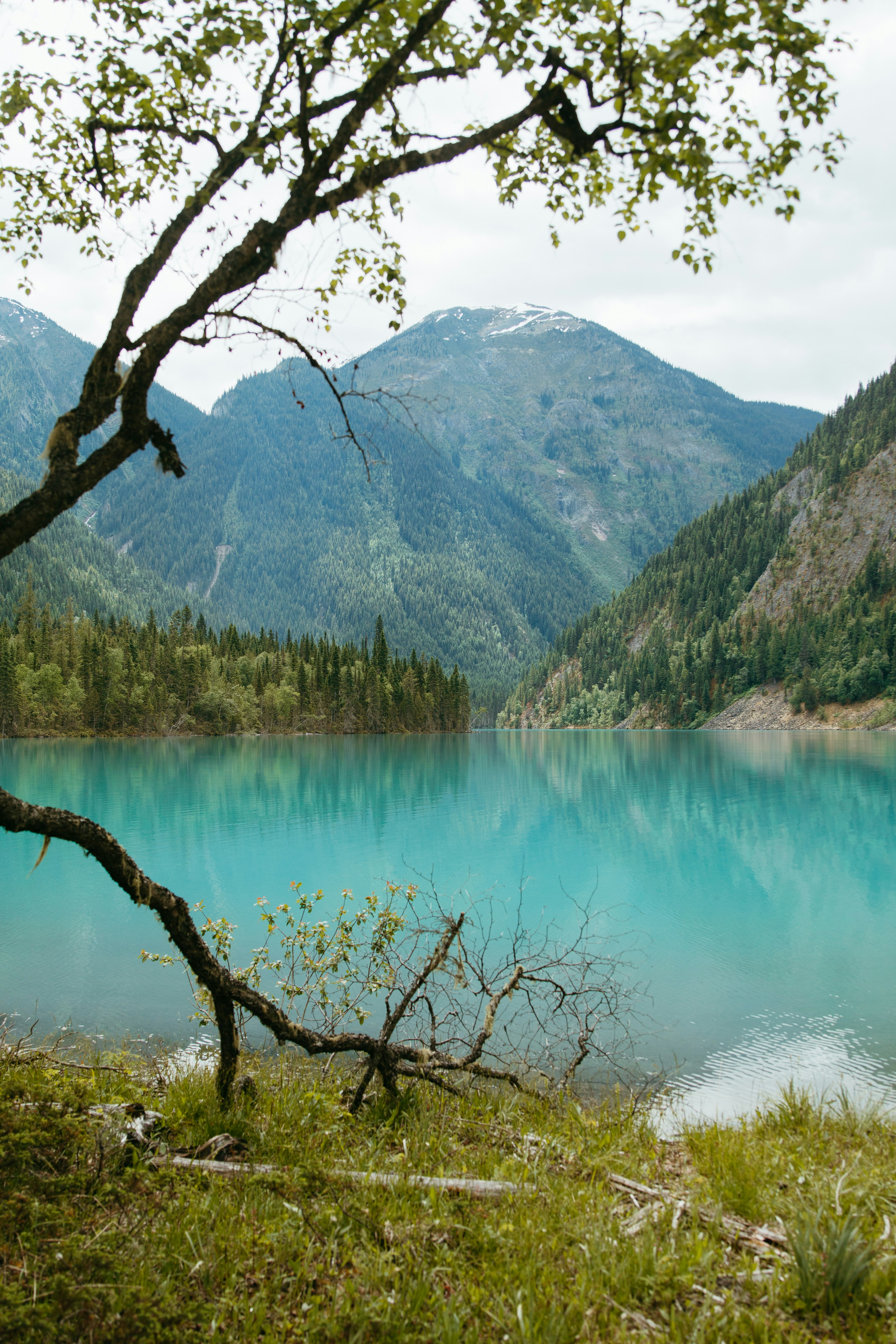 Photo by brittanyreanne