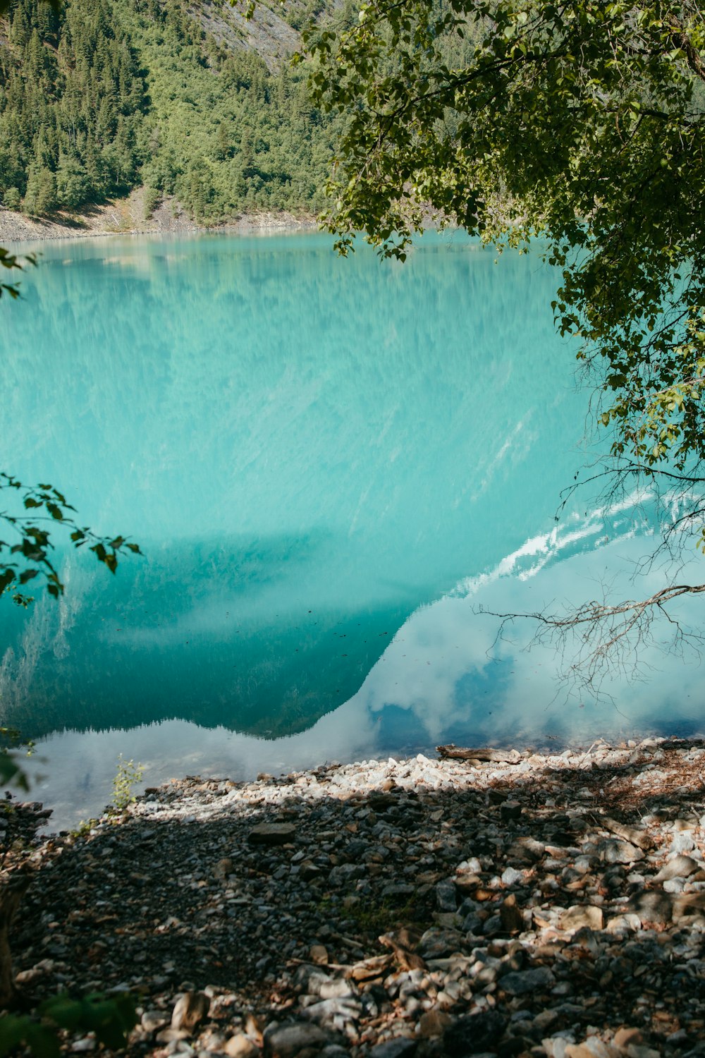 a large body of water surrounded by trees