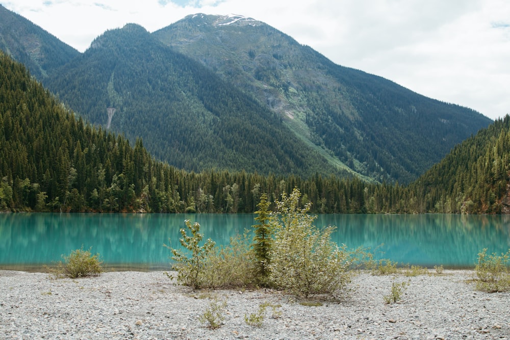 a lake surrounded by mountains and trees