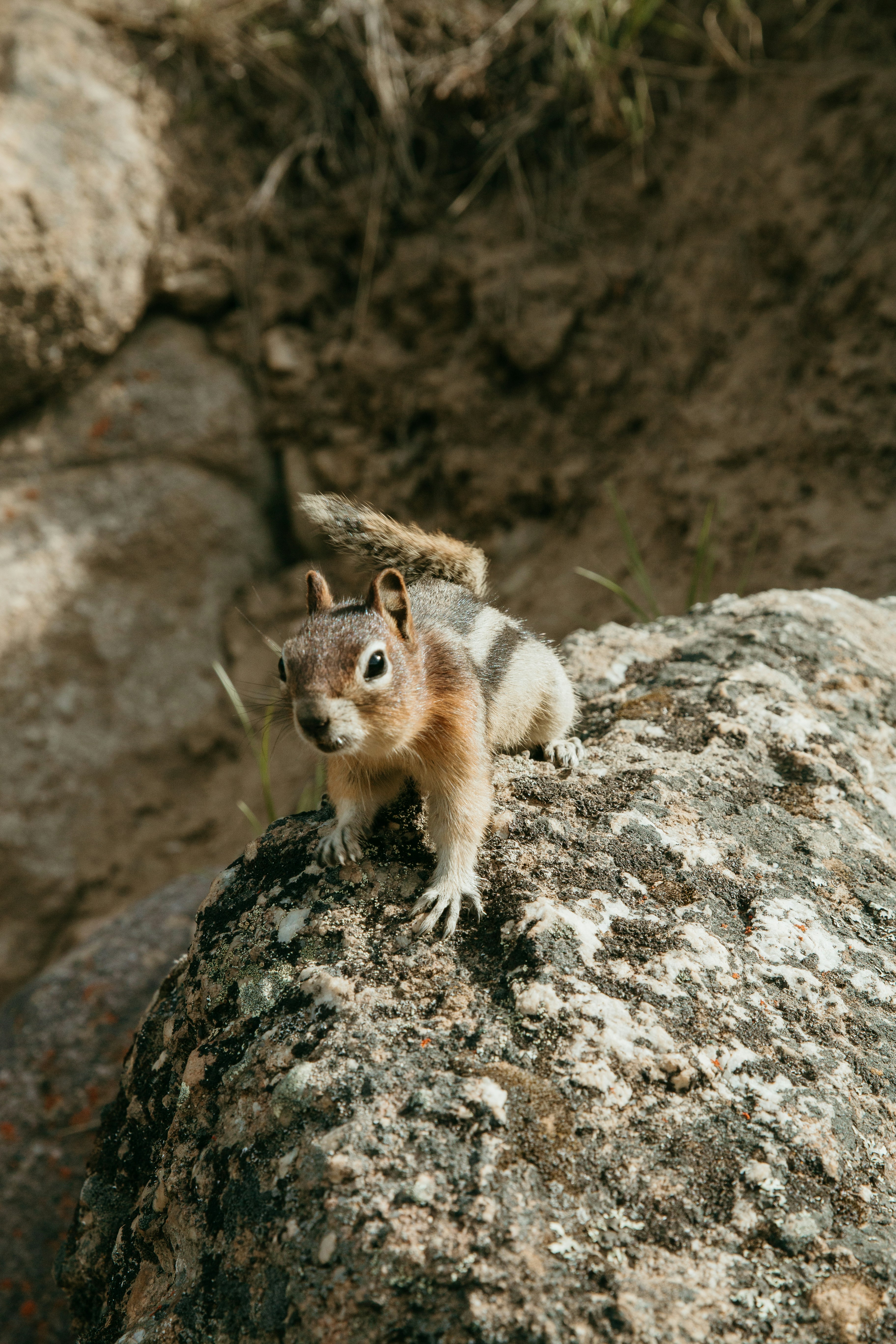 Photo by brittanyreanne