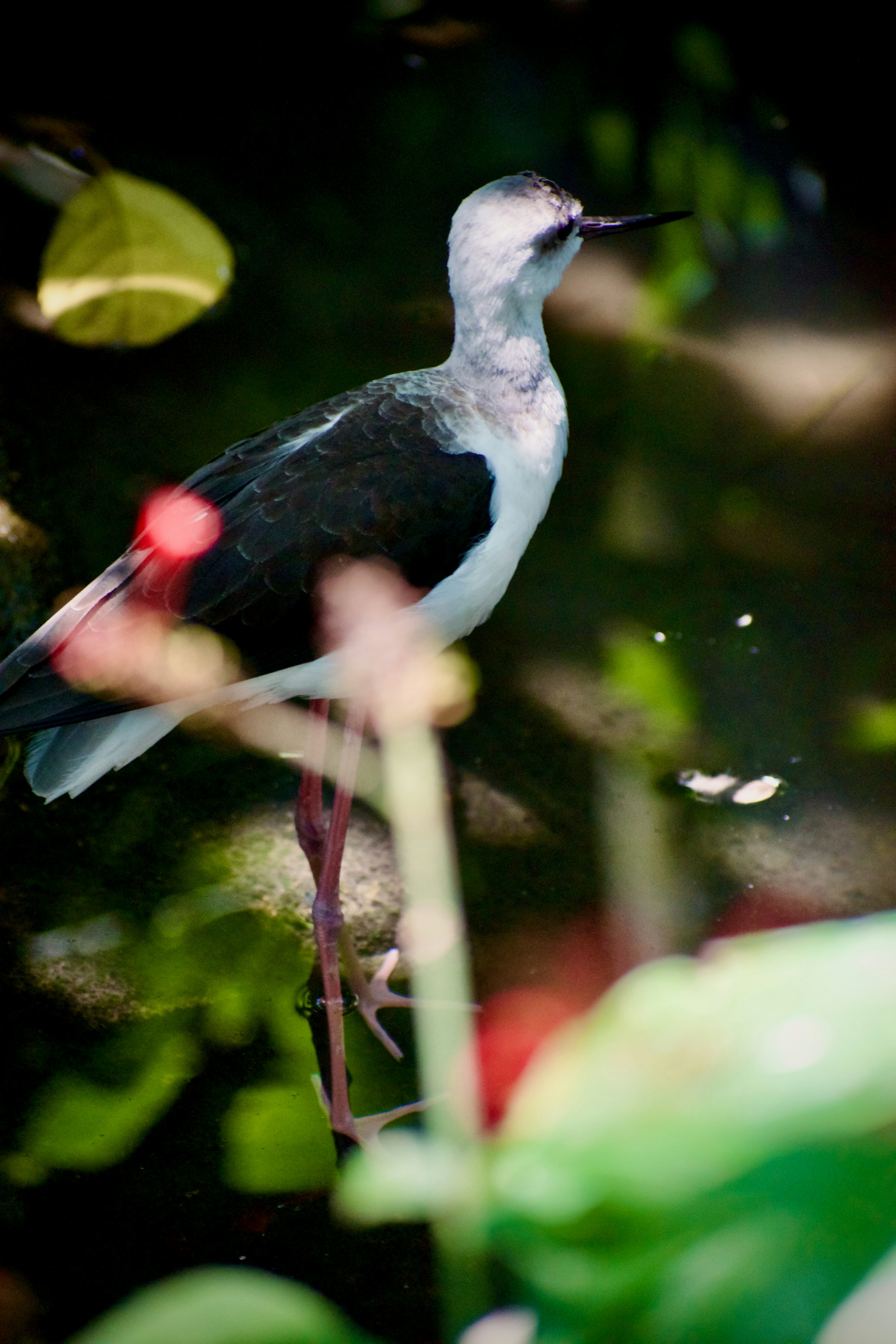 Photo by pixtagrammer