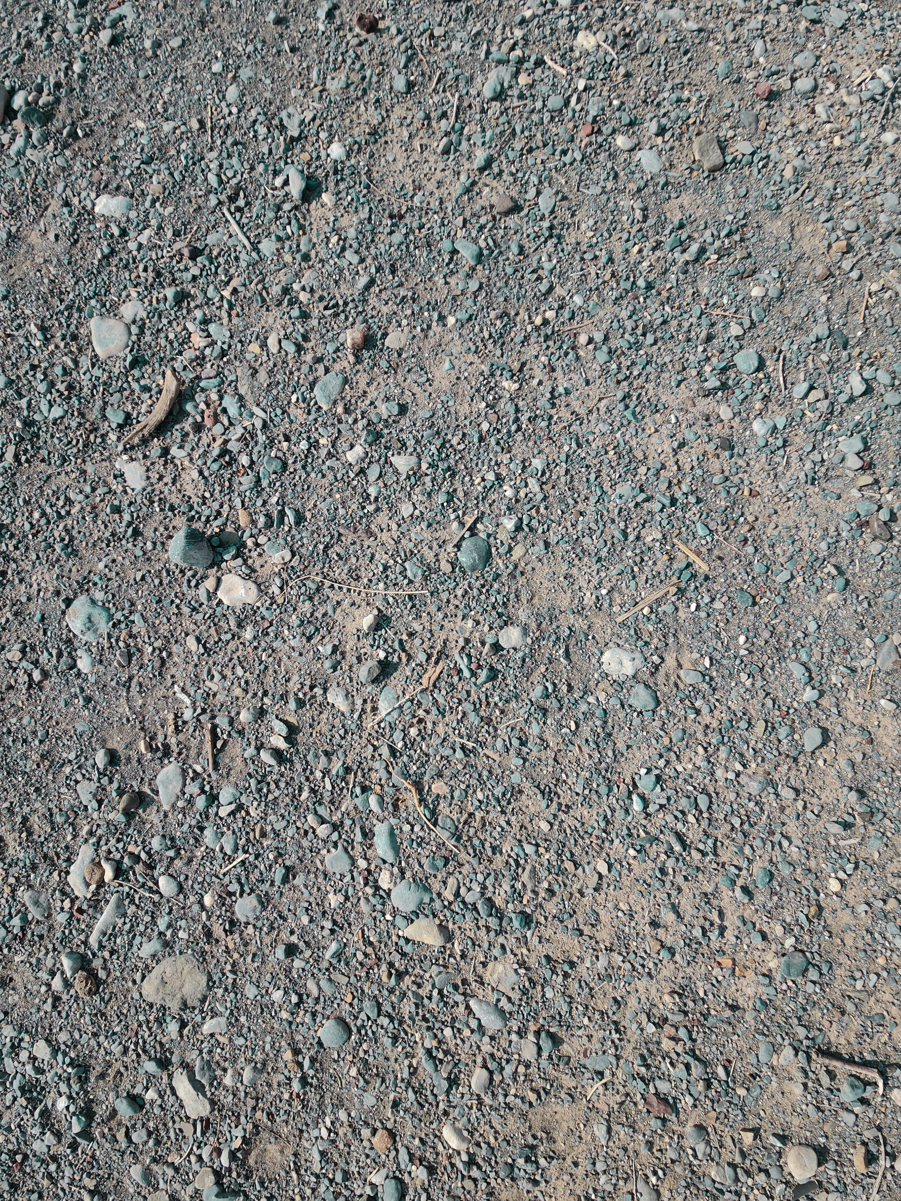 Photo by your_scorpion