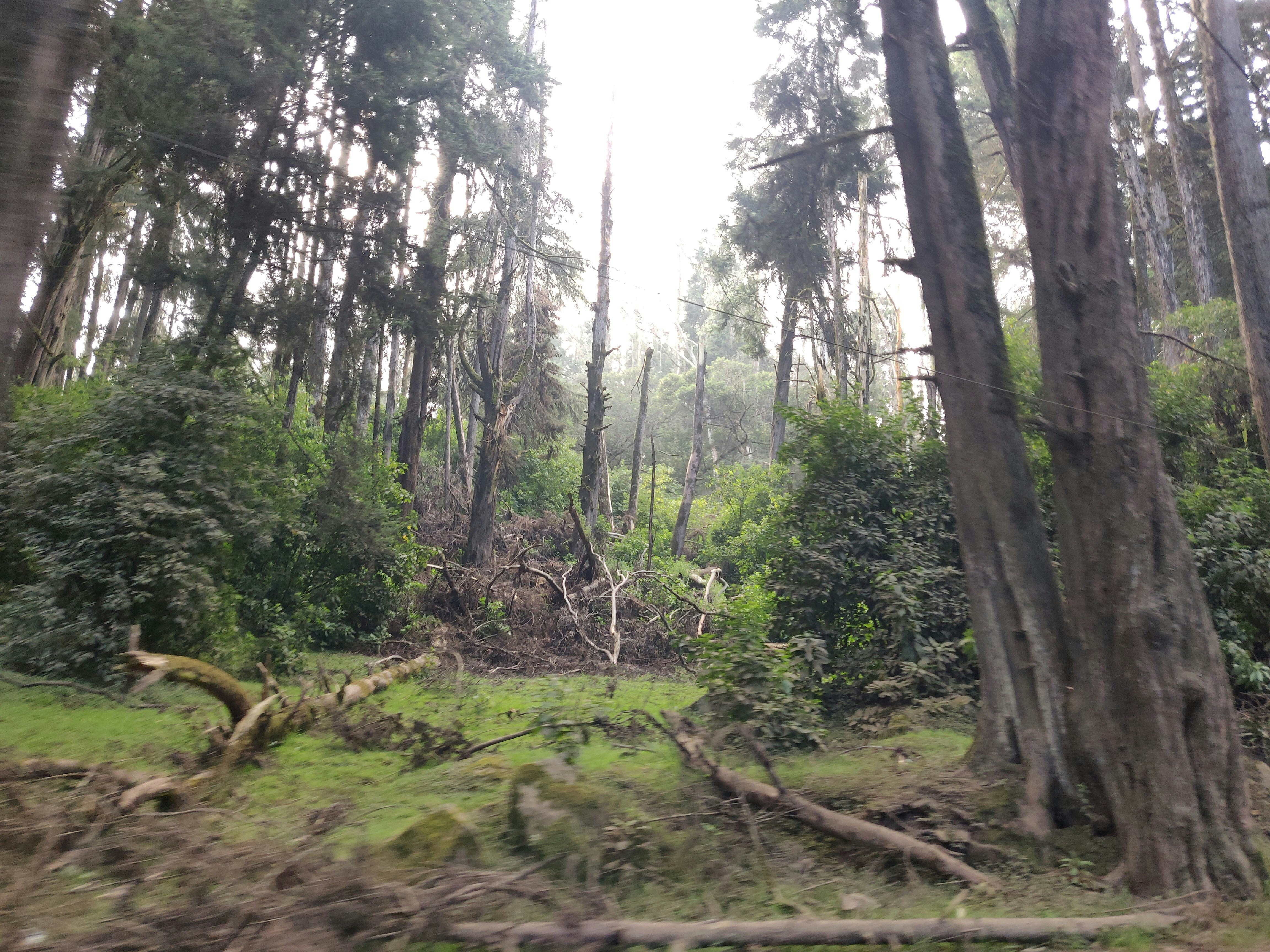 Photo by kannankanu
