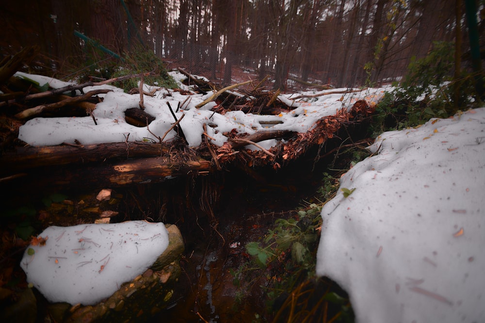 a stream running through a snow covered forest