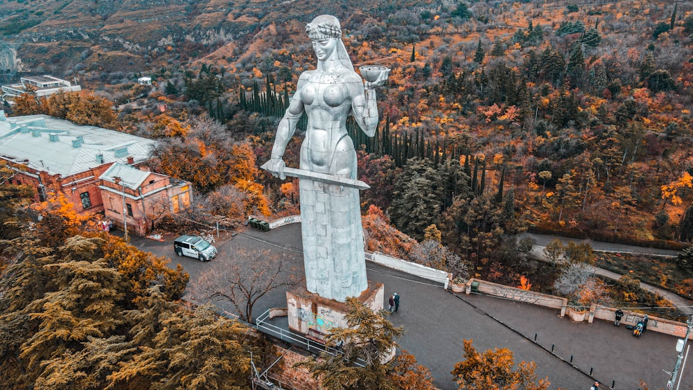 an aerial view of a statue of a woman surrounded by trees