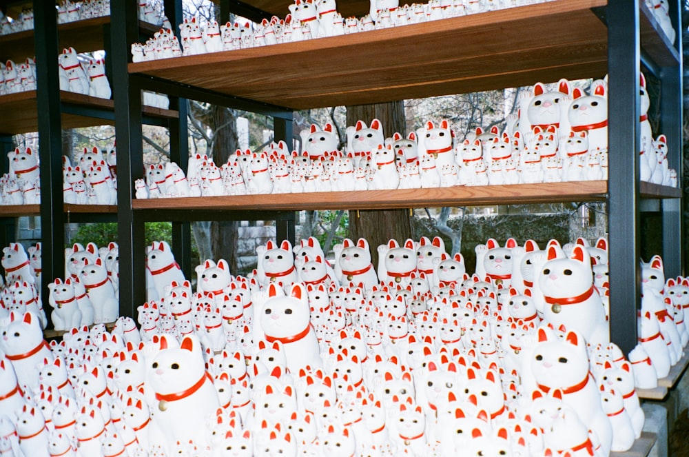 a shelf filled with lots of white cats