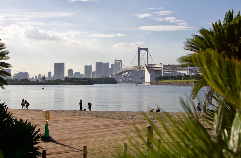 a group of people walking on a beach next to a body of water