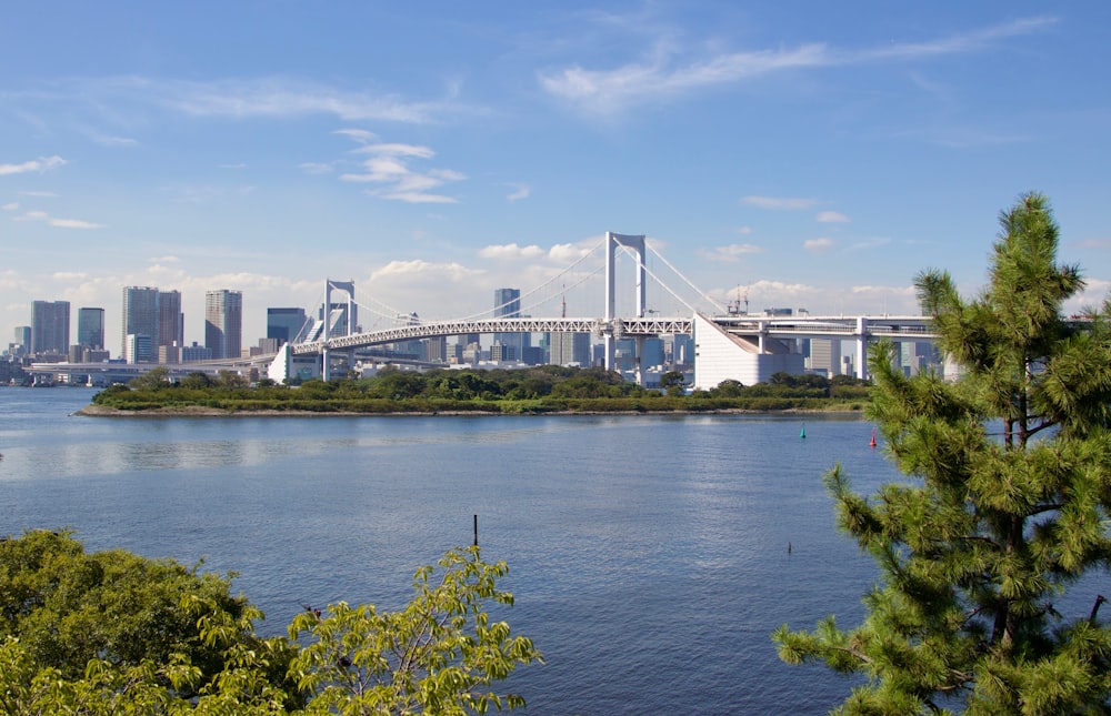 a large bridge over a large body of water