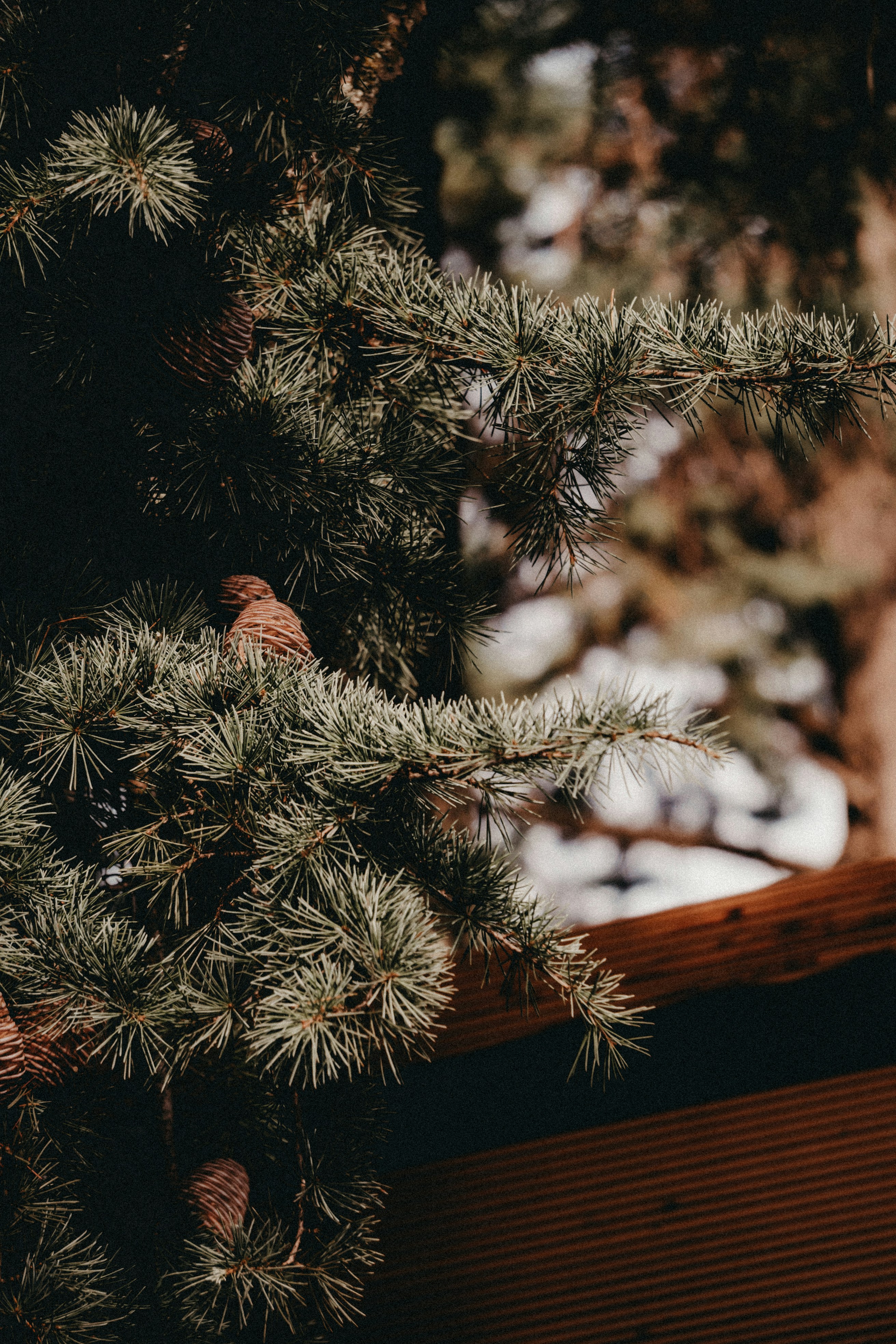 Photo by volkova_2897