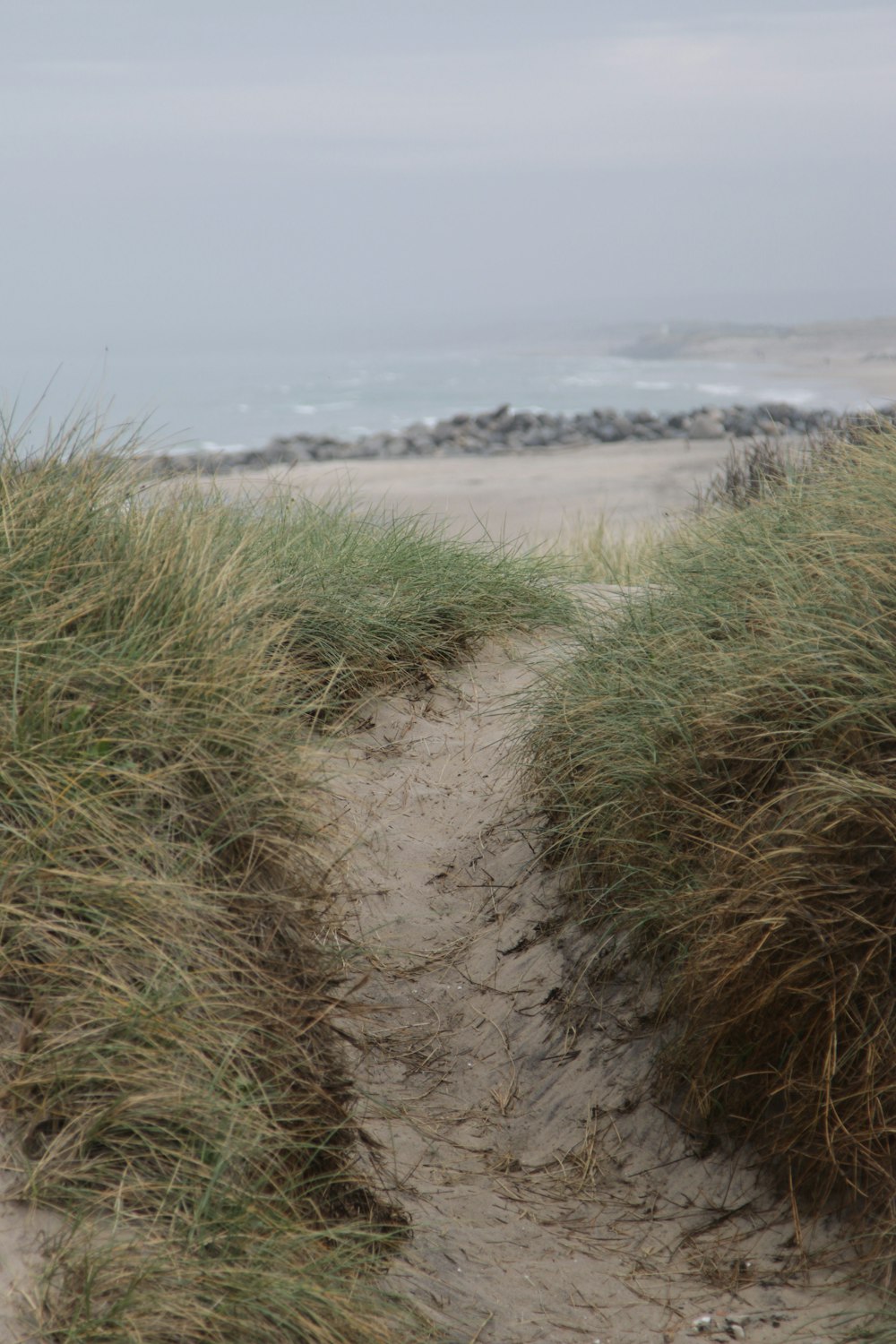 a sandy path leading to the beach with grass growing out of it