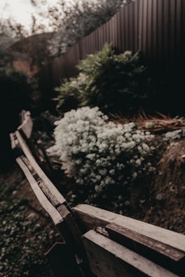 A rustic wooden fence framing a vibrant vegetable garden beside the chicken area.