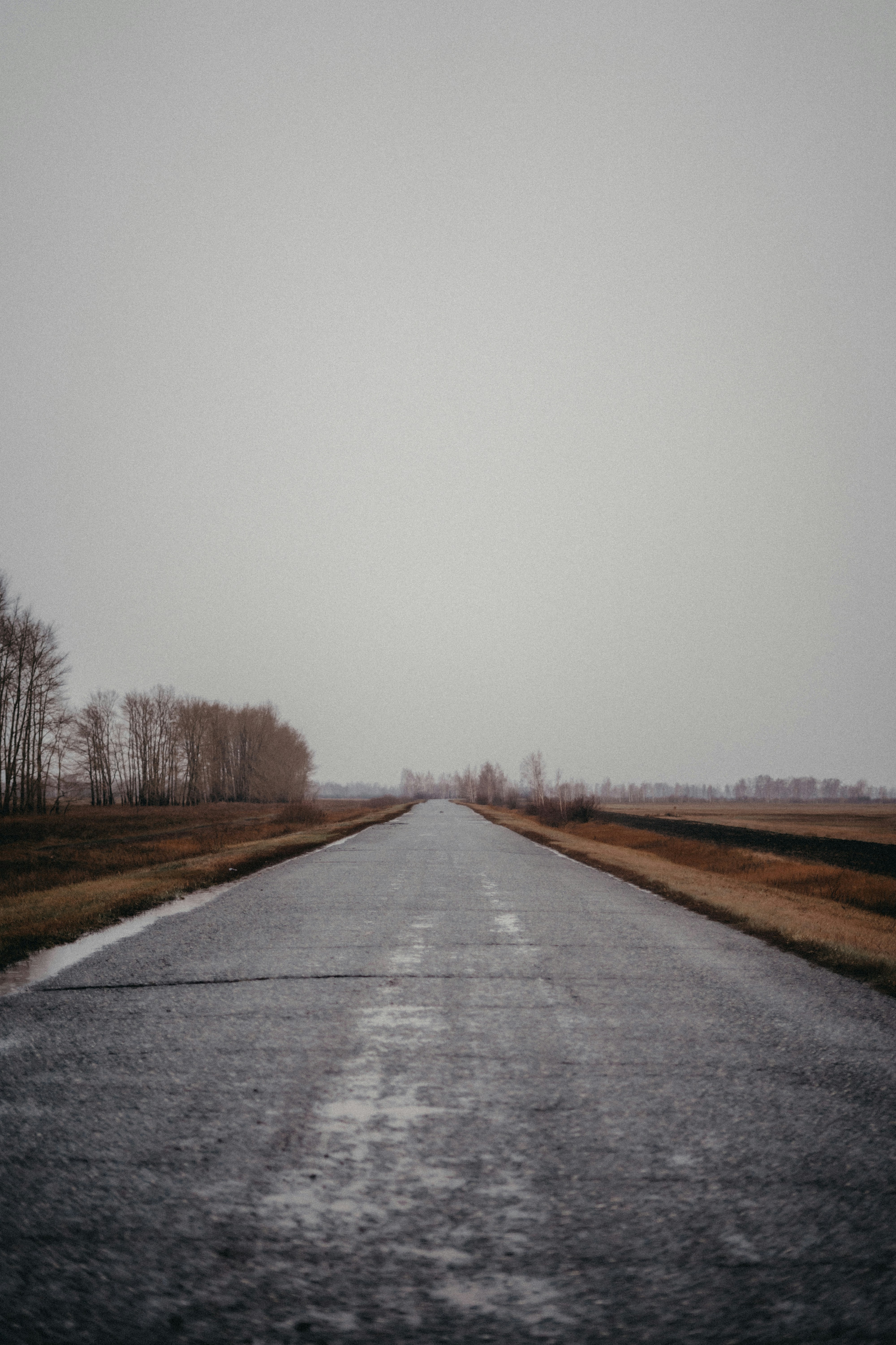 Photo by volkova_2897